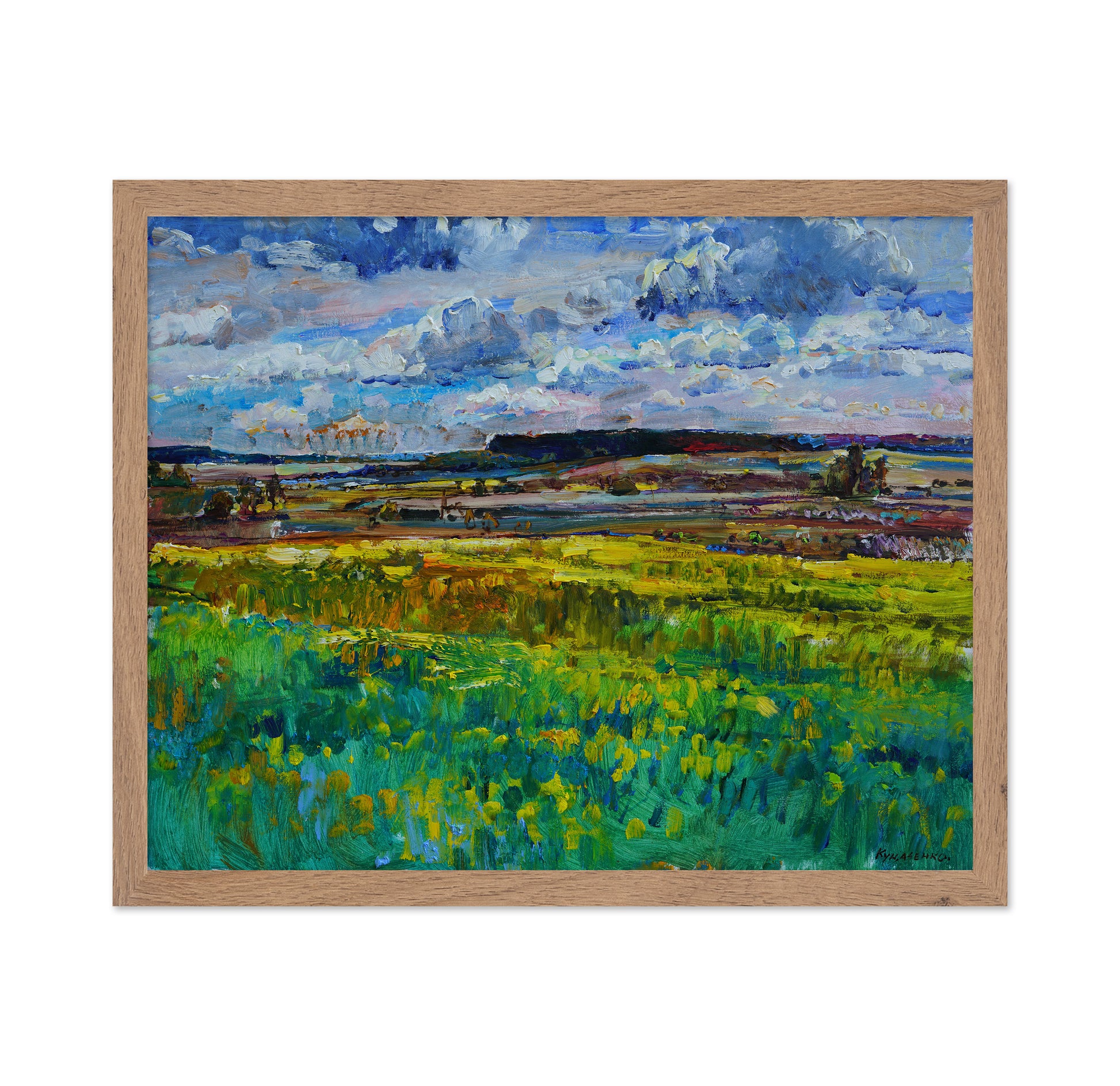 Lush Meadow Landscape