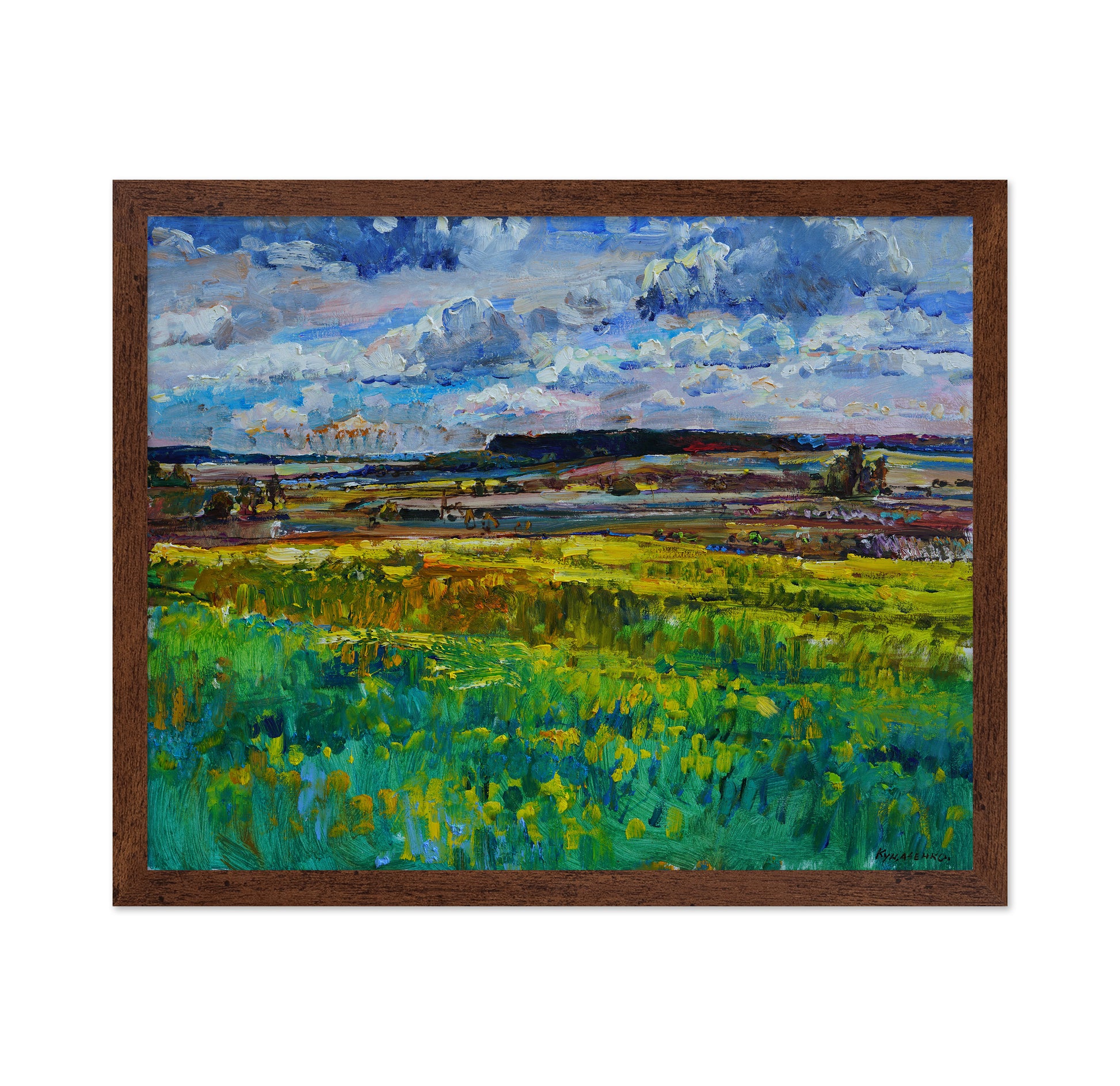 Lush Meadow Landscape