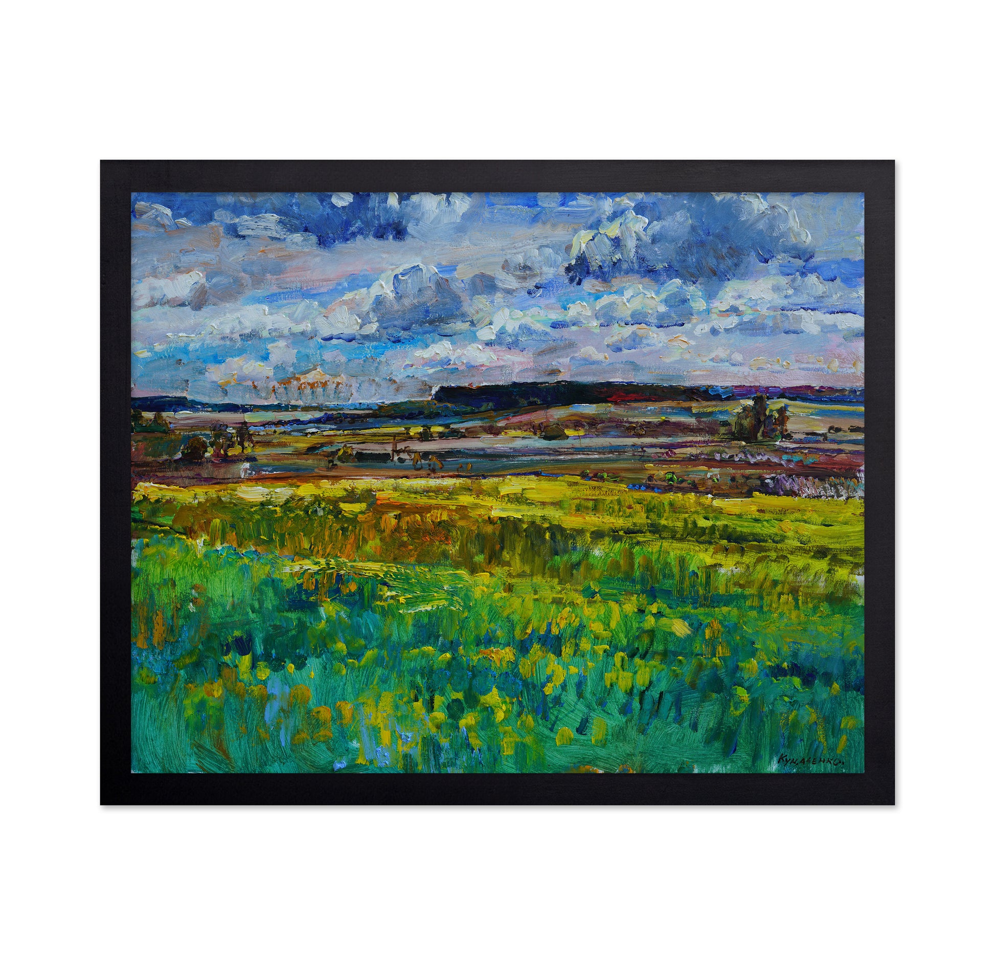 Lush Meadow Landscape