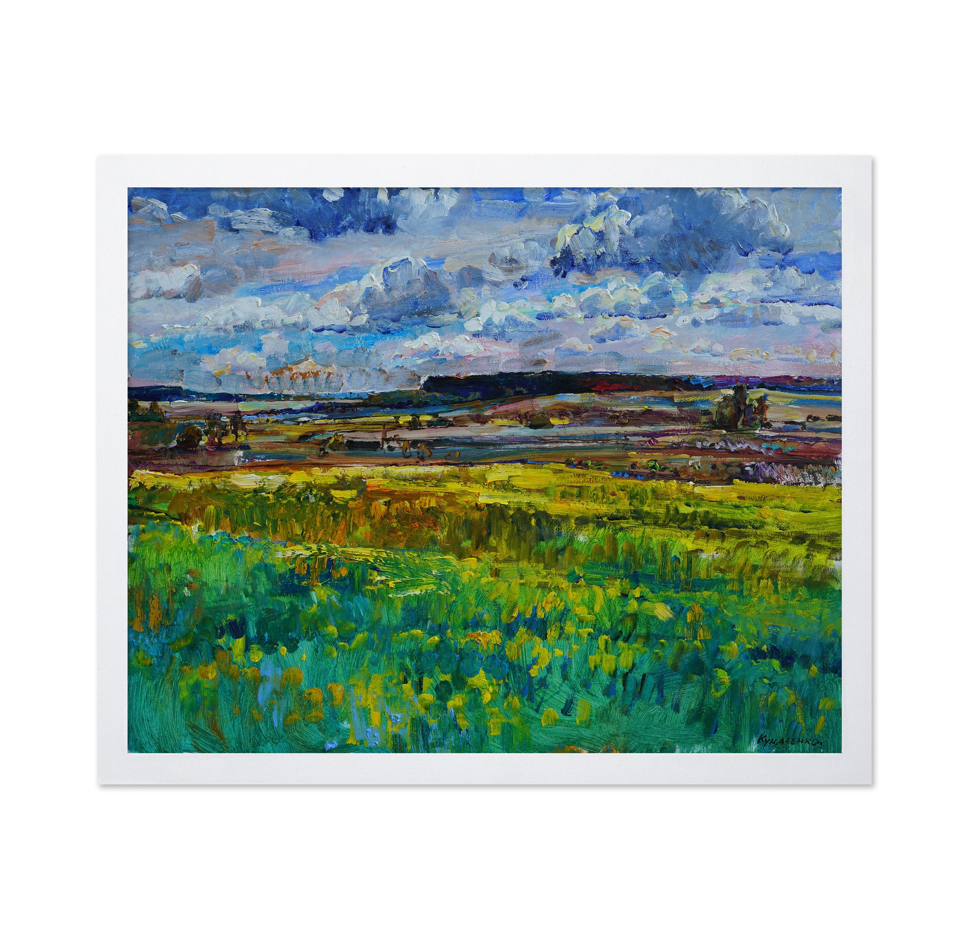 Lush Meadow Landscape