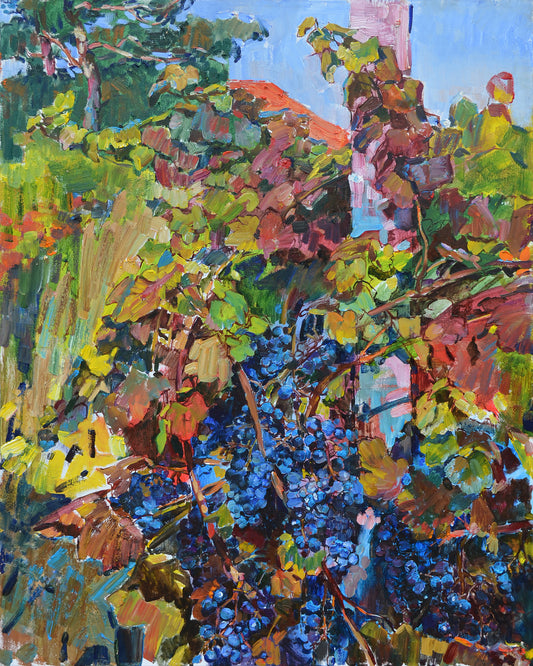 Vineyard Harvest