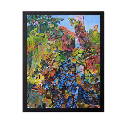 Vineyard Harvest