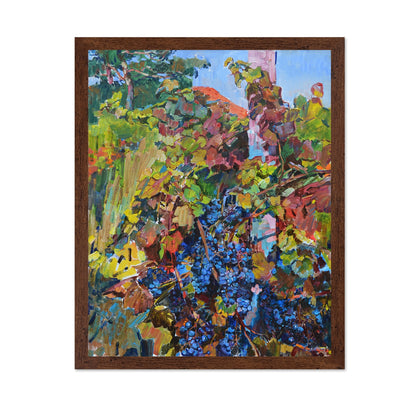 Vineyard Harvest