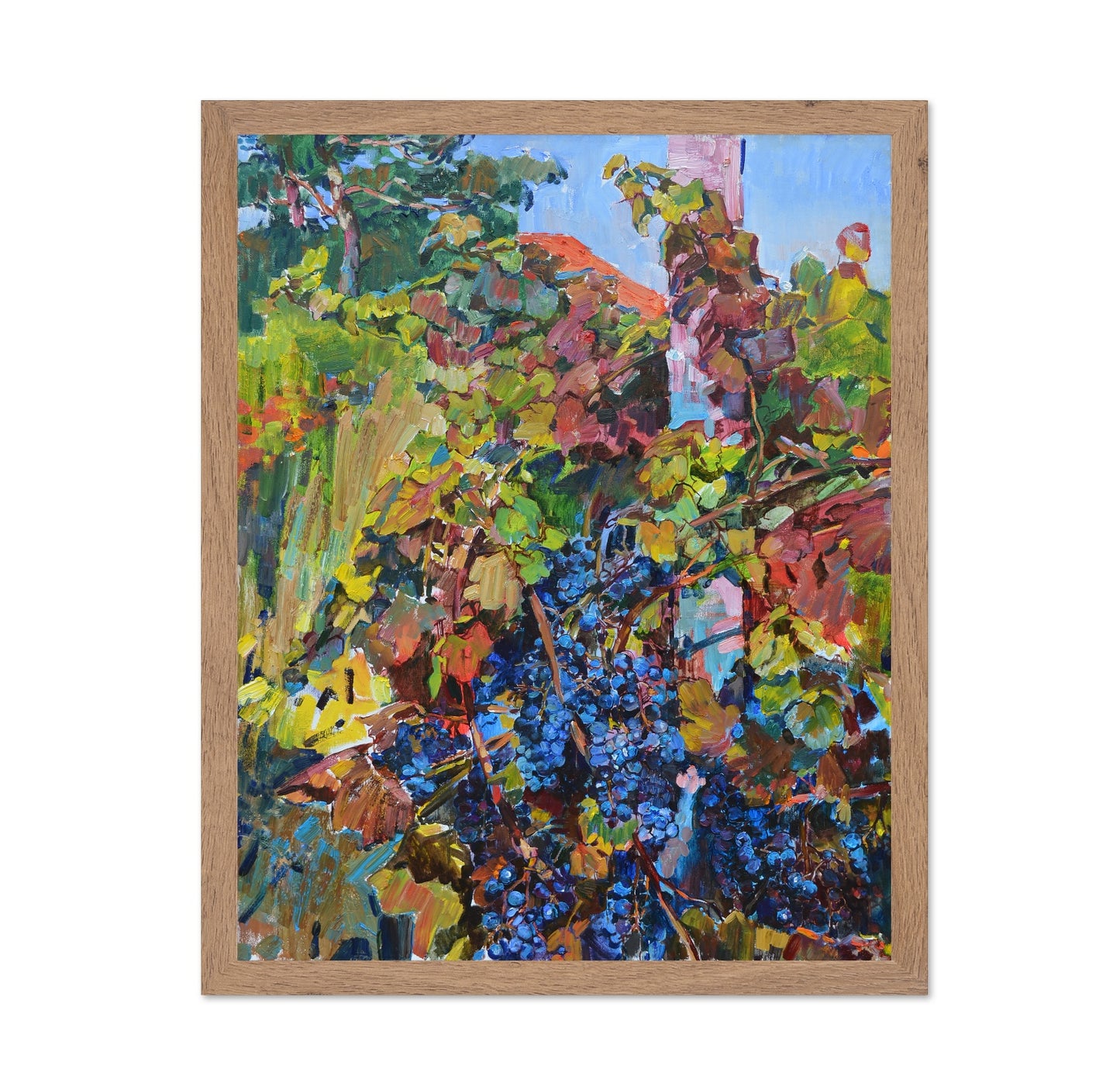 Vineyard Harvest