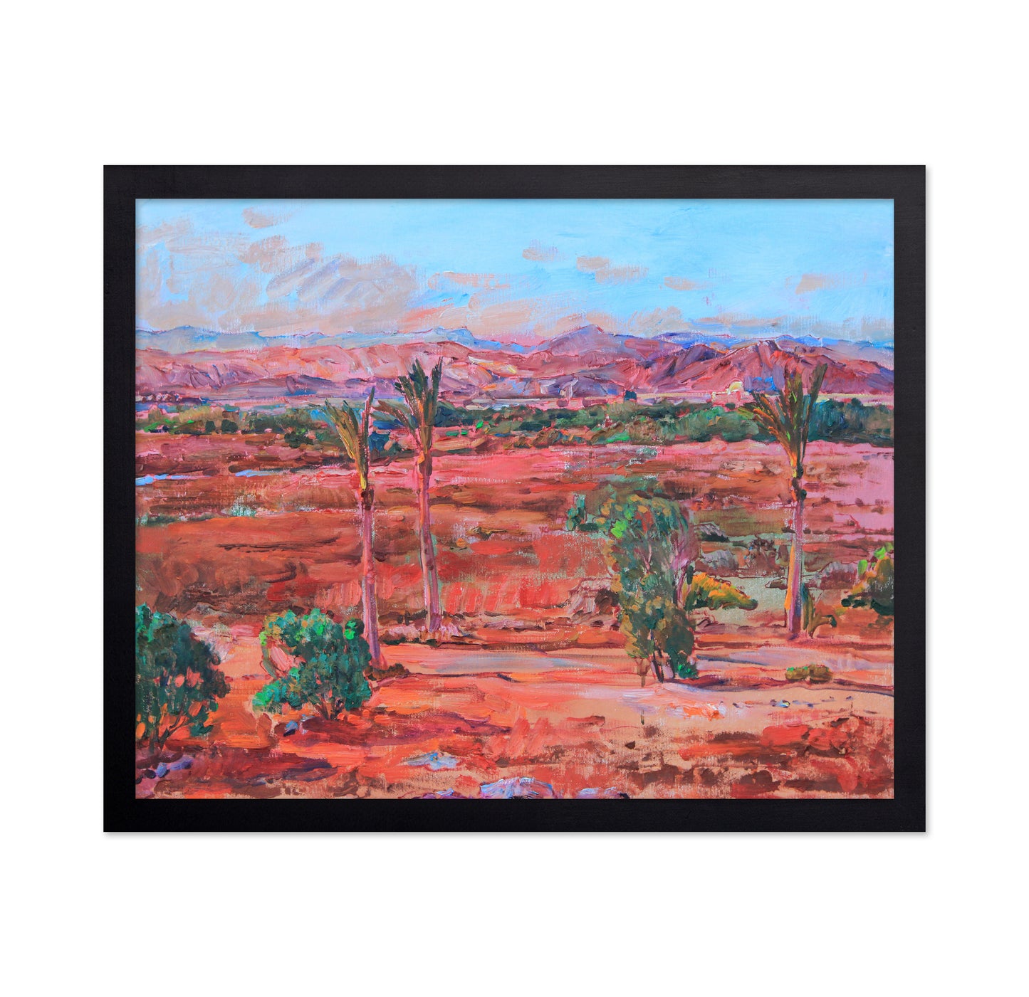 Desert Palm Vista