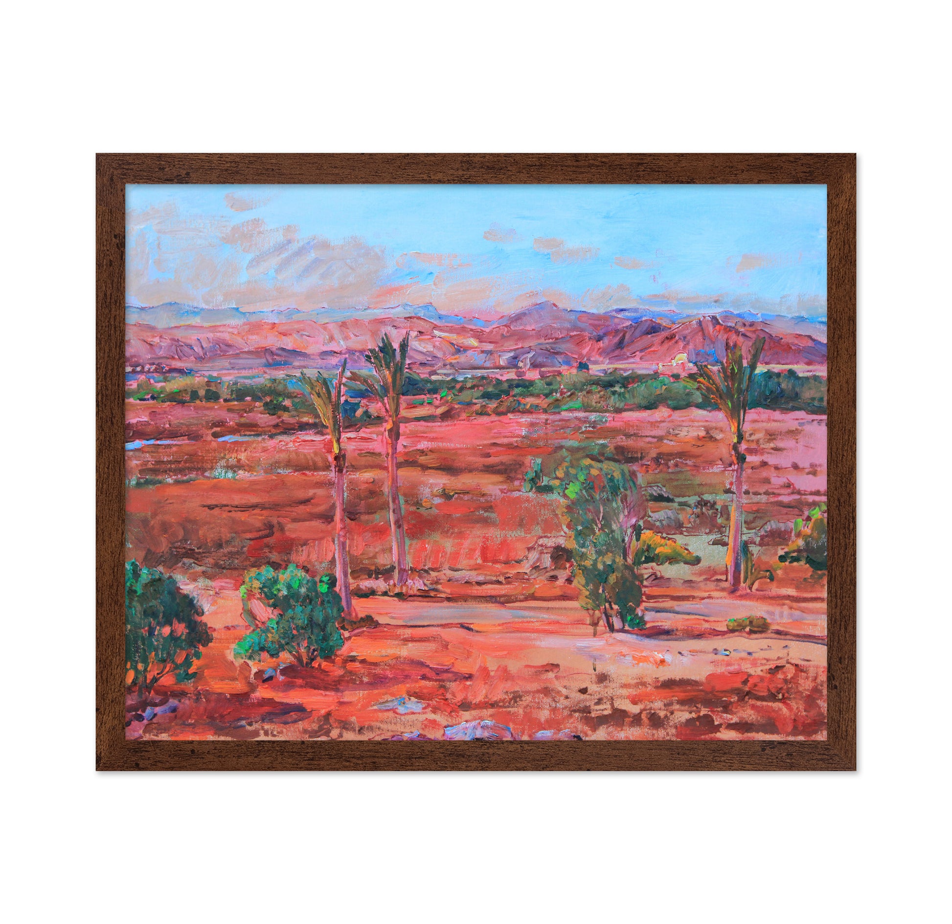 Desert Palm Vista