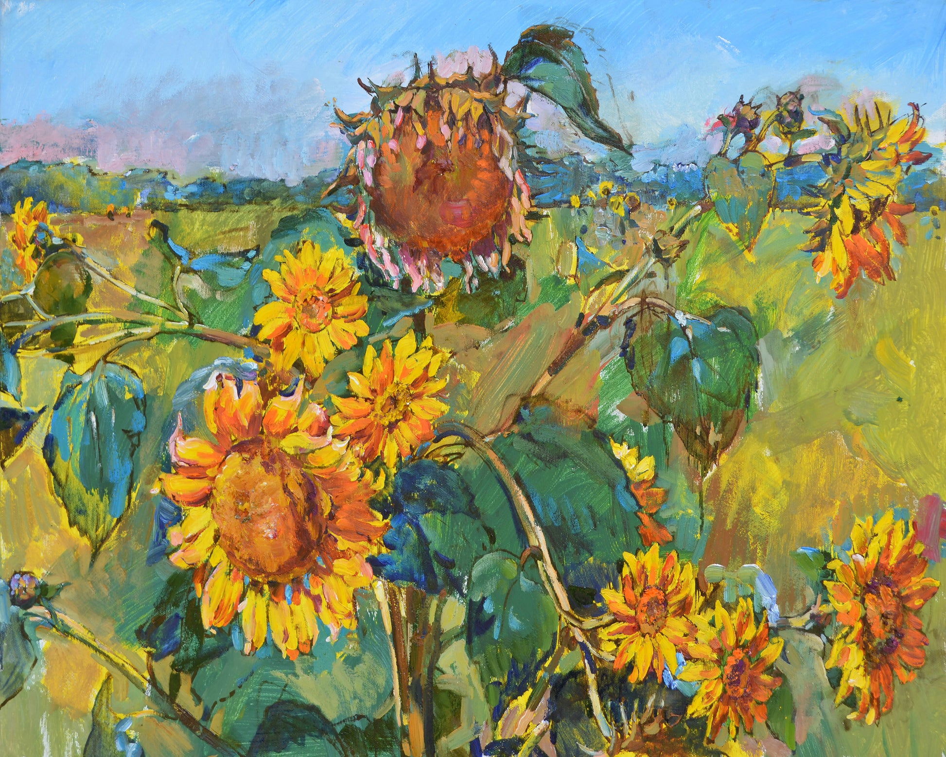 Sunflower Field No2