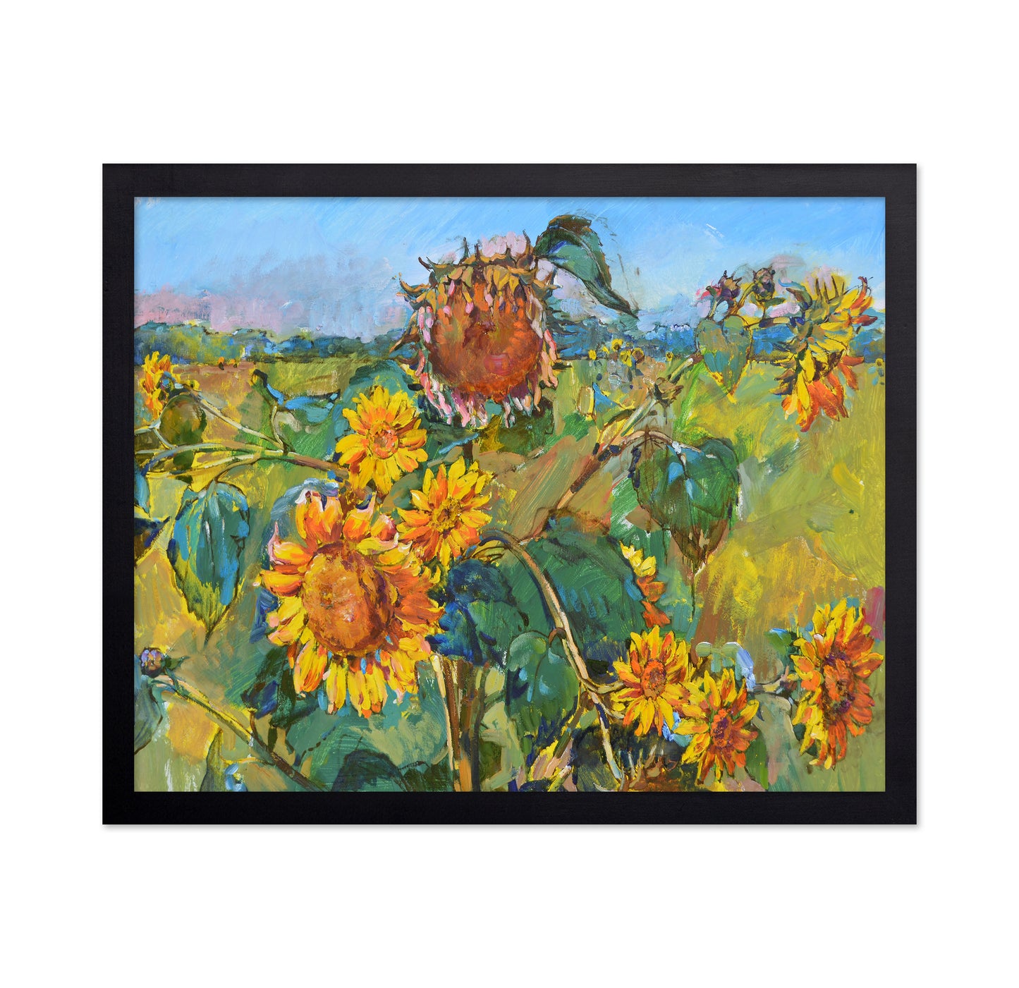 Sunflower Field No2
