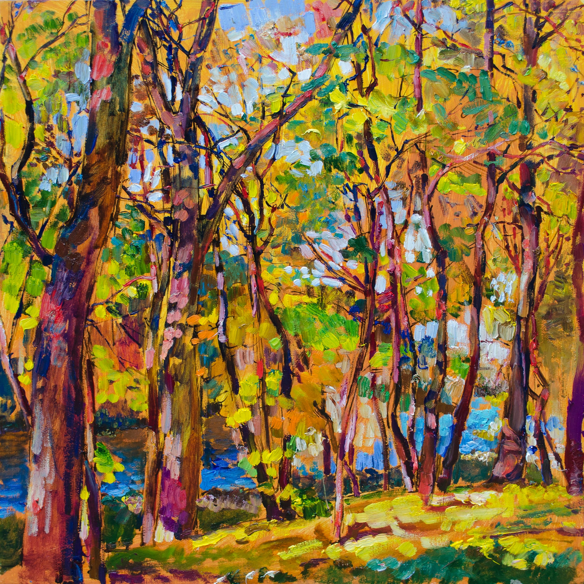 Autumn Forest Glow No2