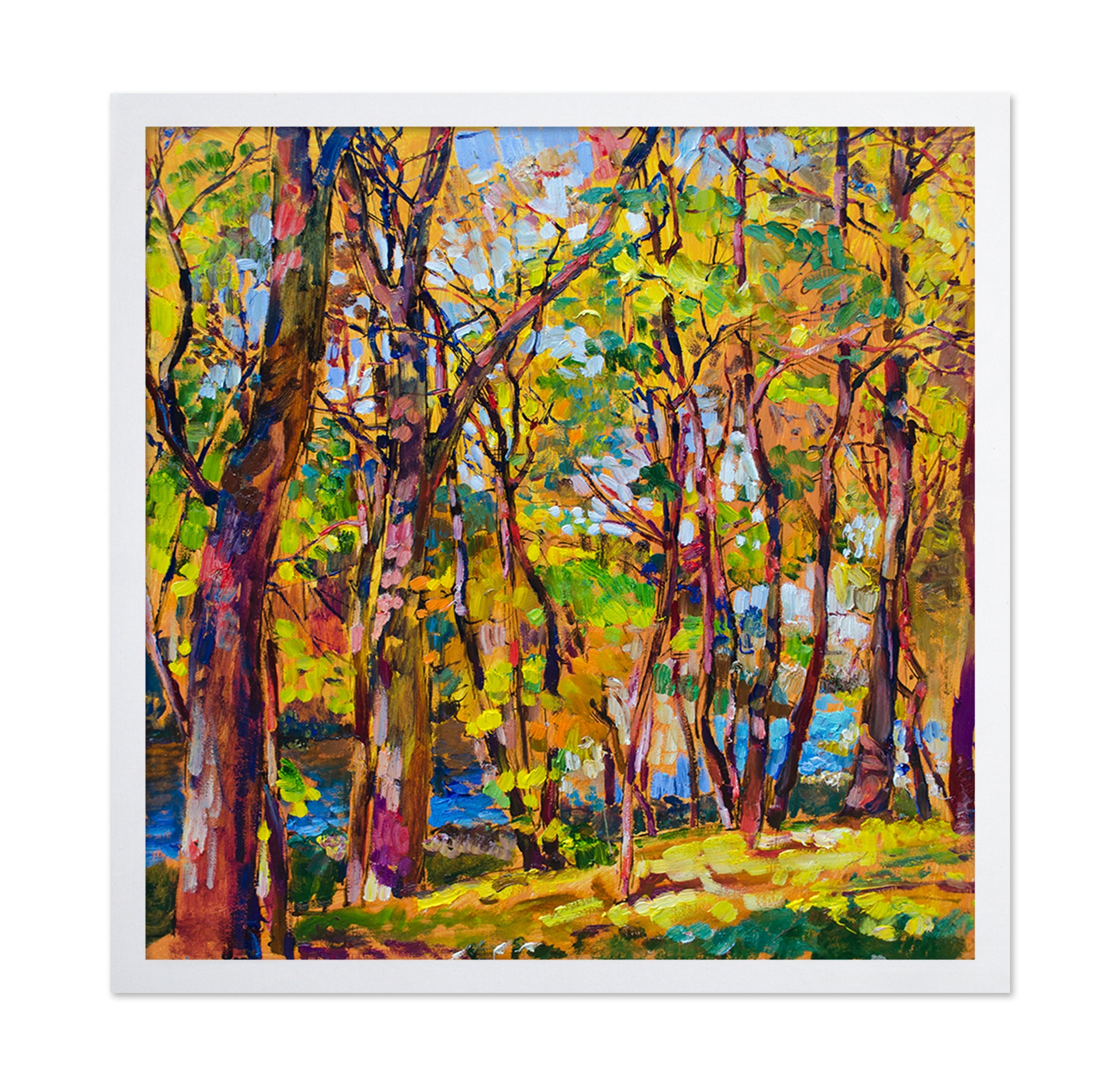 Autumn Forest Glow No2