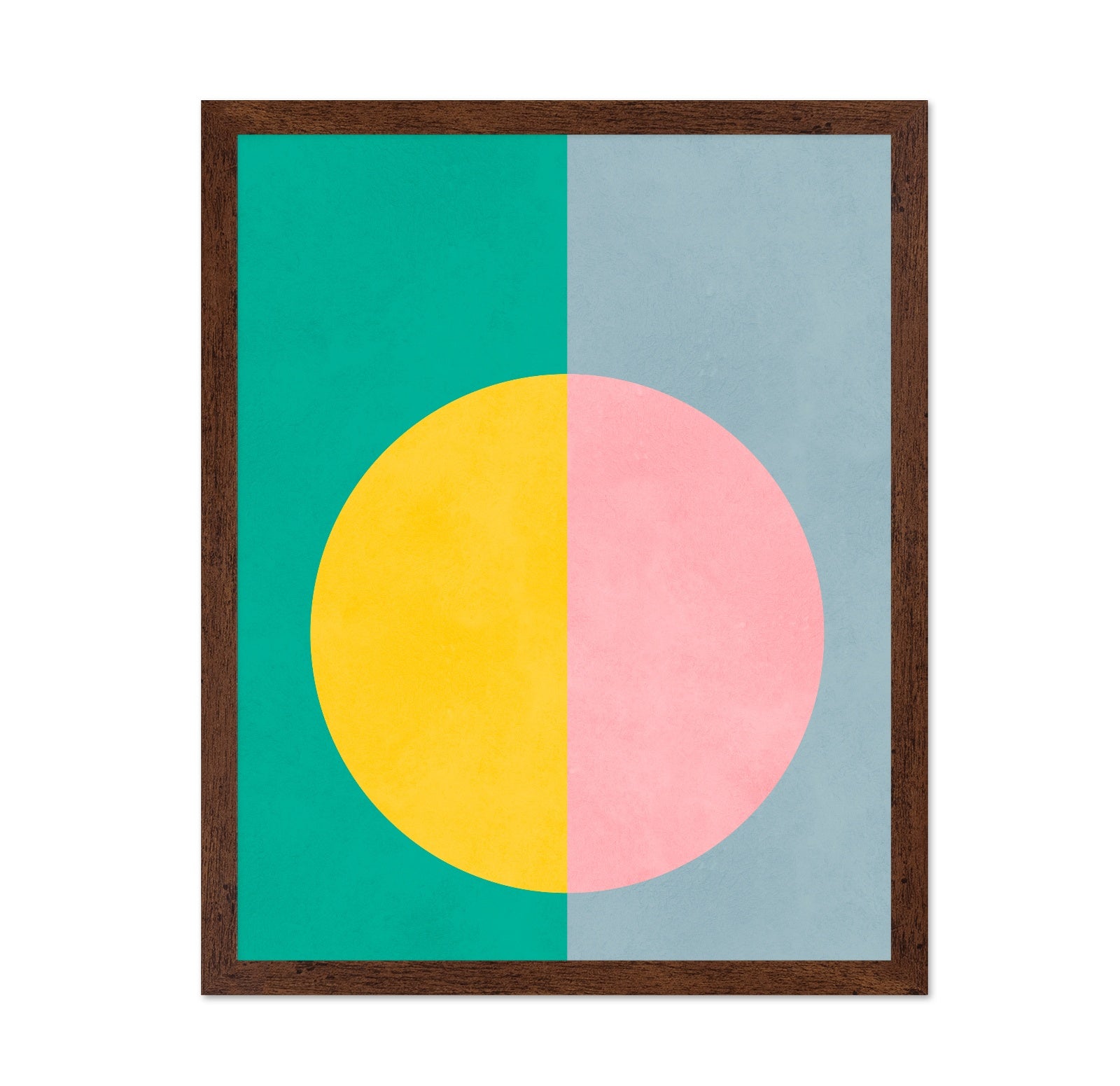 Split Color Circle