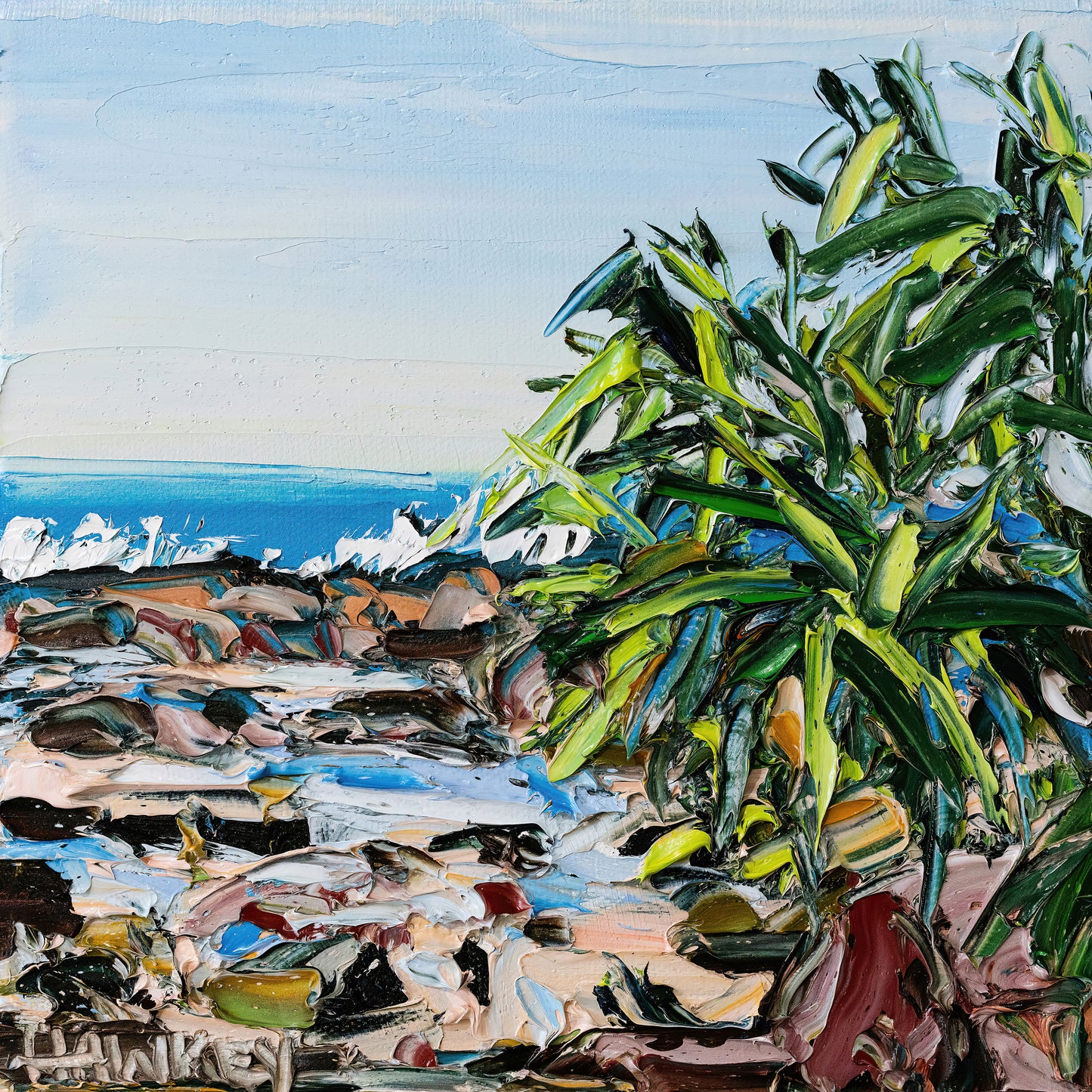 Rocky Shore Palms