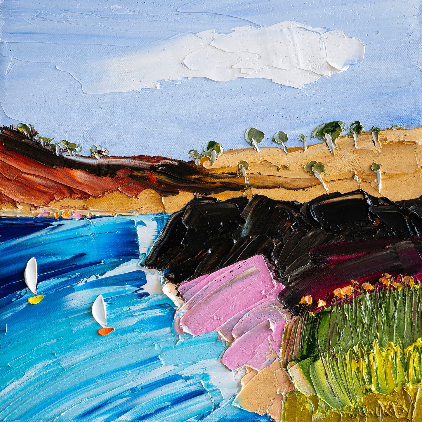 Coastal Color Cove