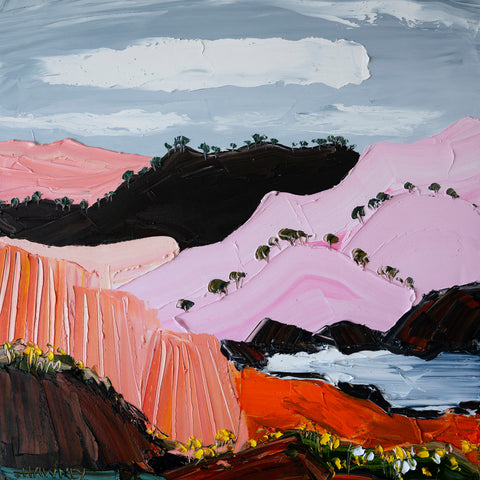 Pink Canyon Hills