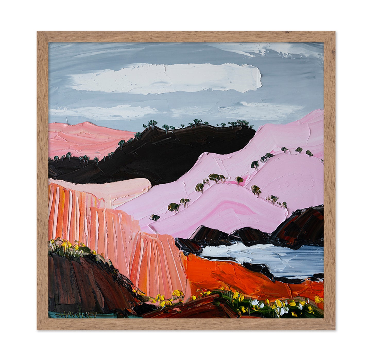 Pink Canyon Hills