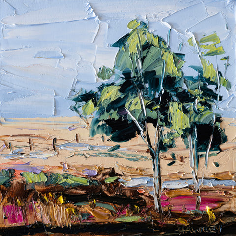 Lone Tree Plains