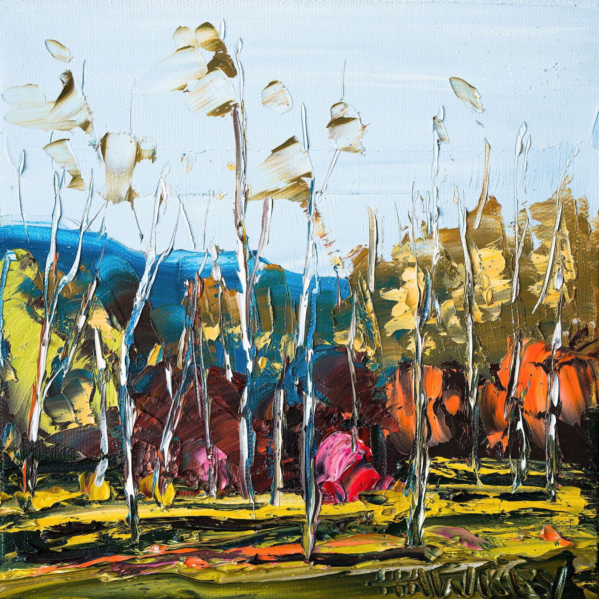 Autumn Forest Scene