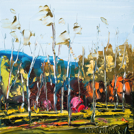 Autumn Forest Scene