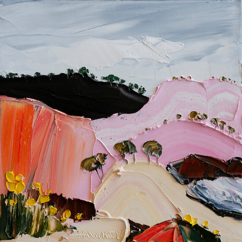 Pink Valley Scene