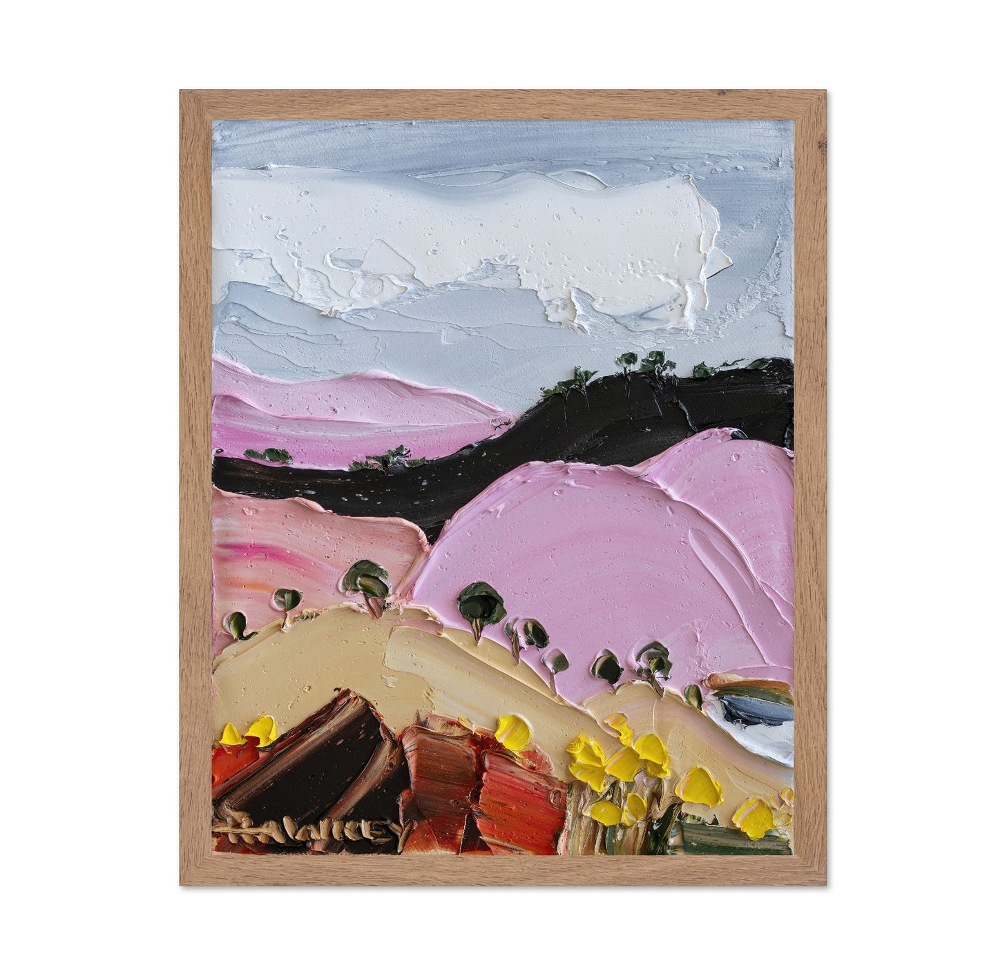 Pink Hills Landscape