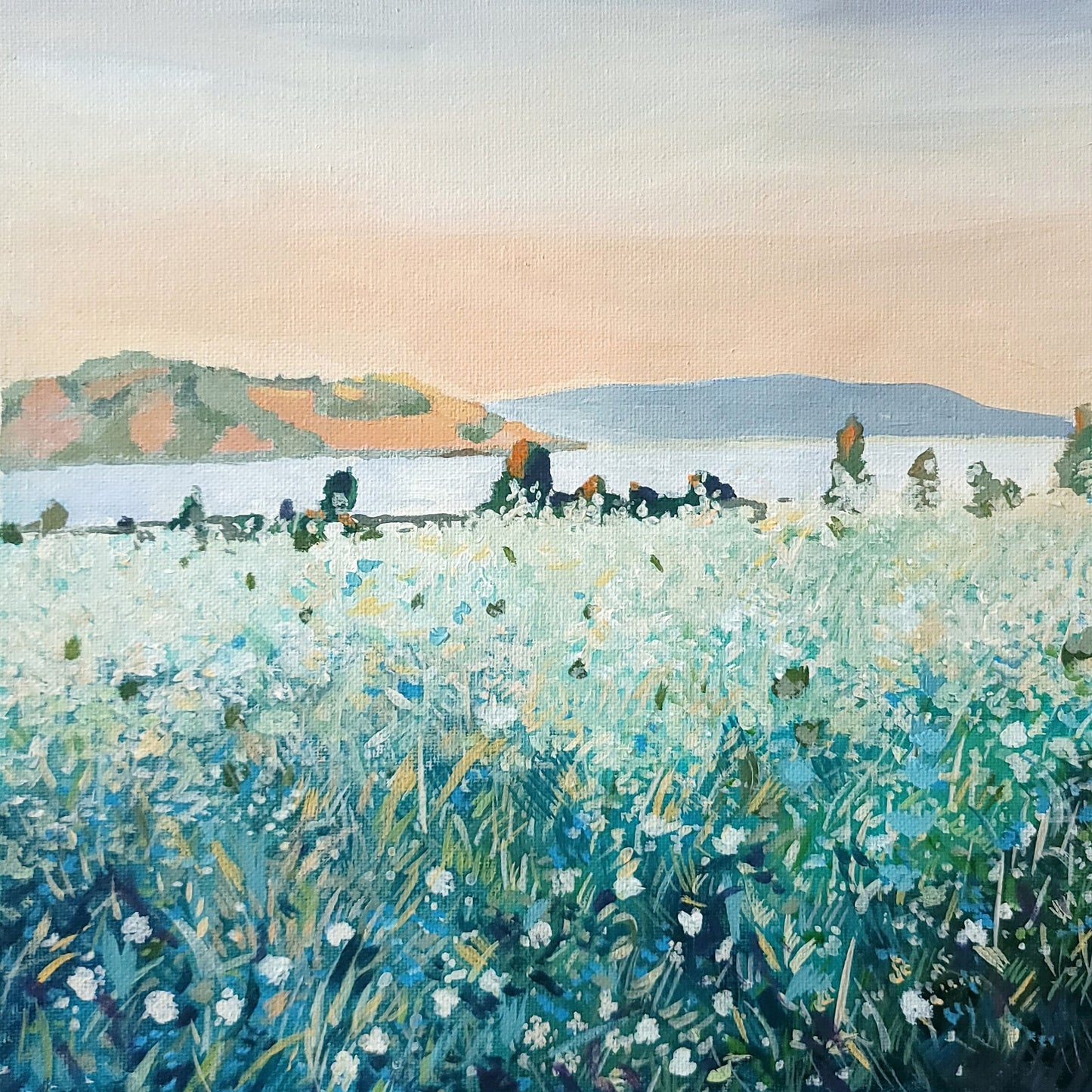 Misty Meadow Coast