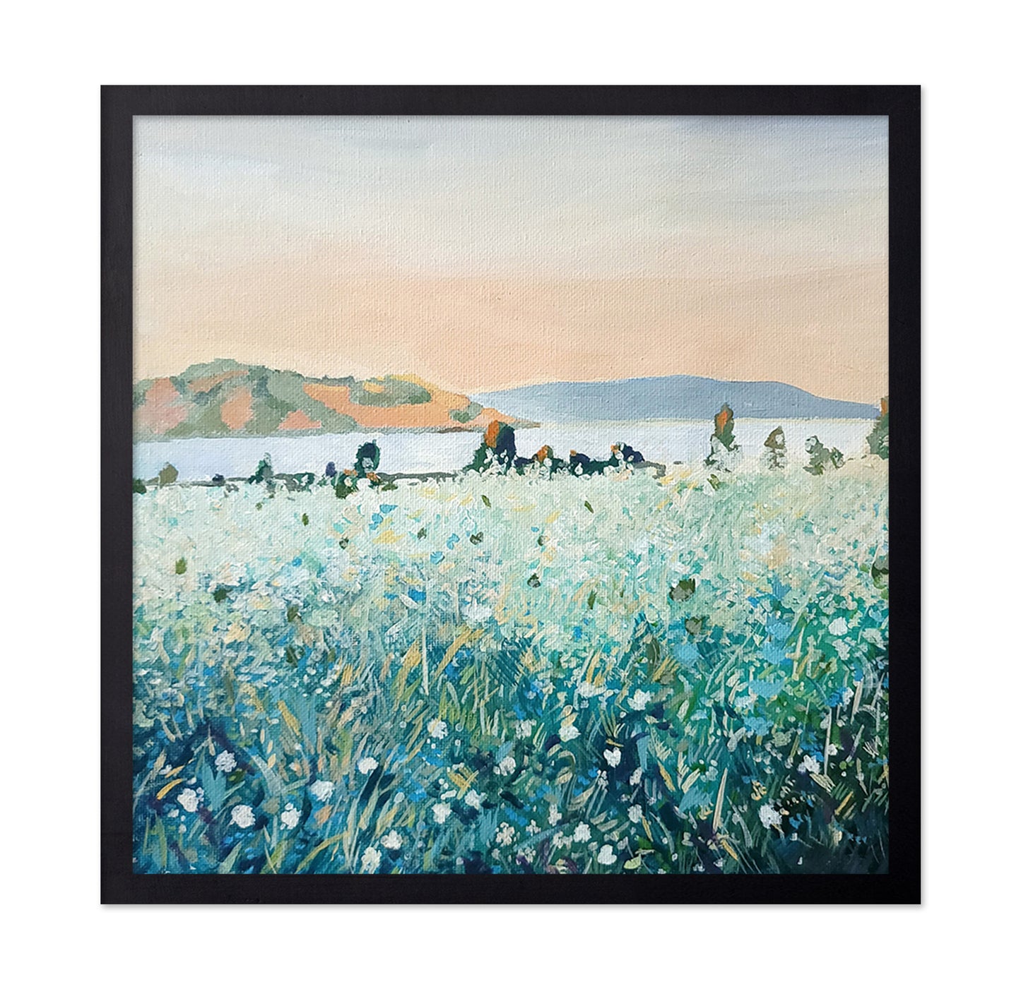 Misty Meadow Coast