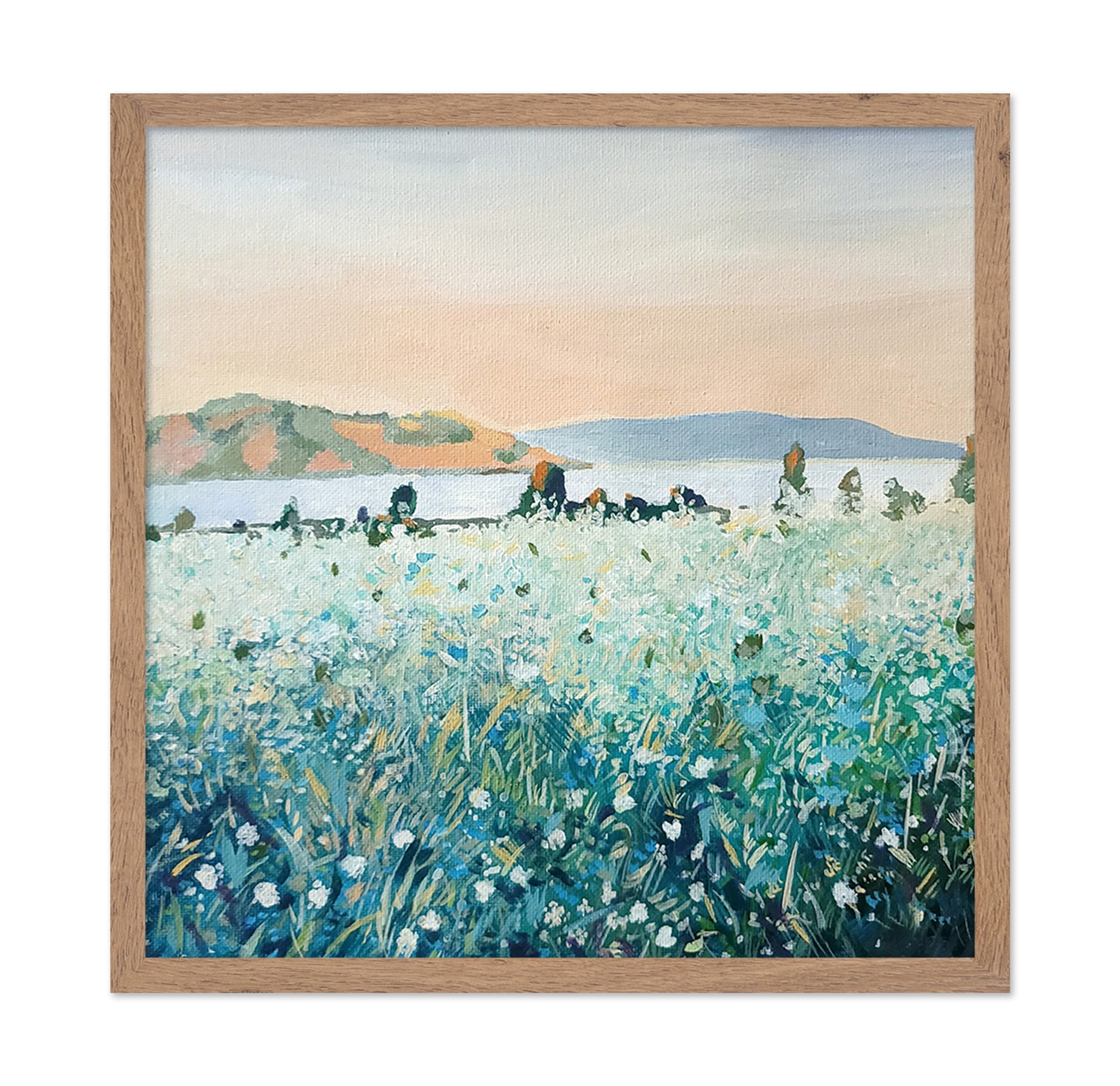 Misty Meadow Coast