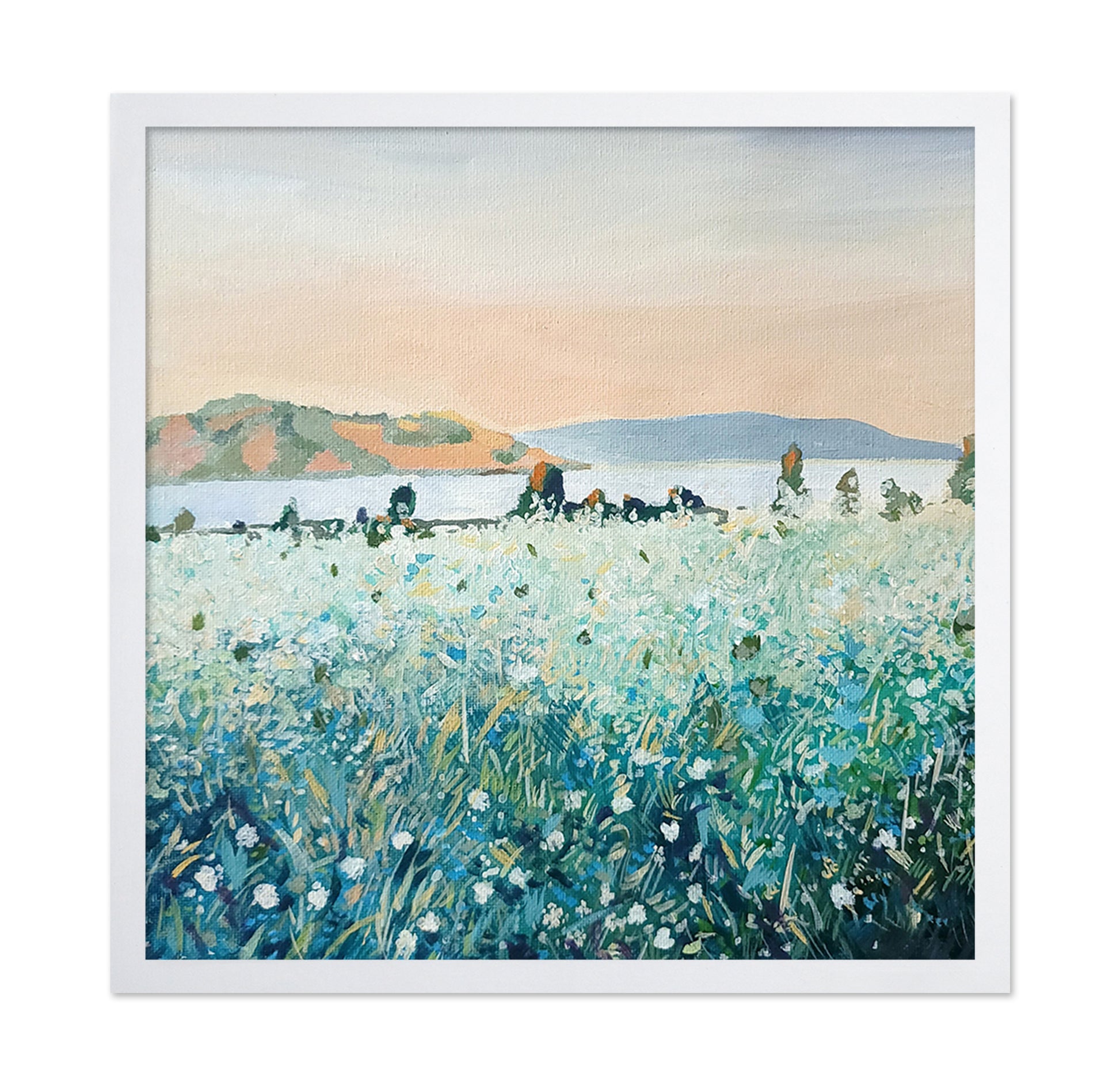 Misty Meadow Coast