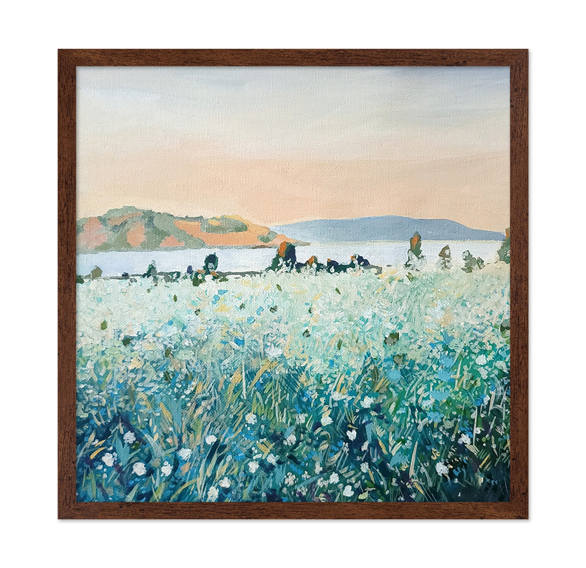 Misty Meadow Coast