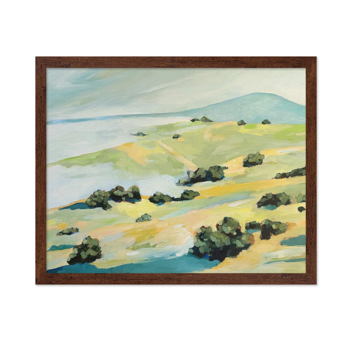 Coastal Rolling Hills