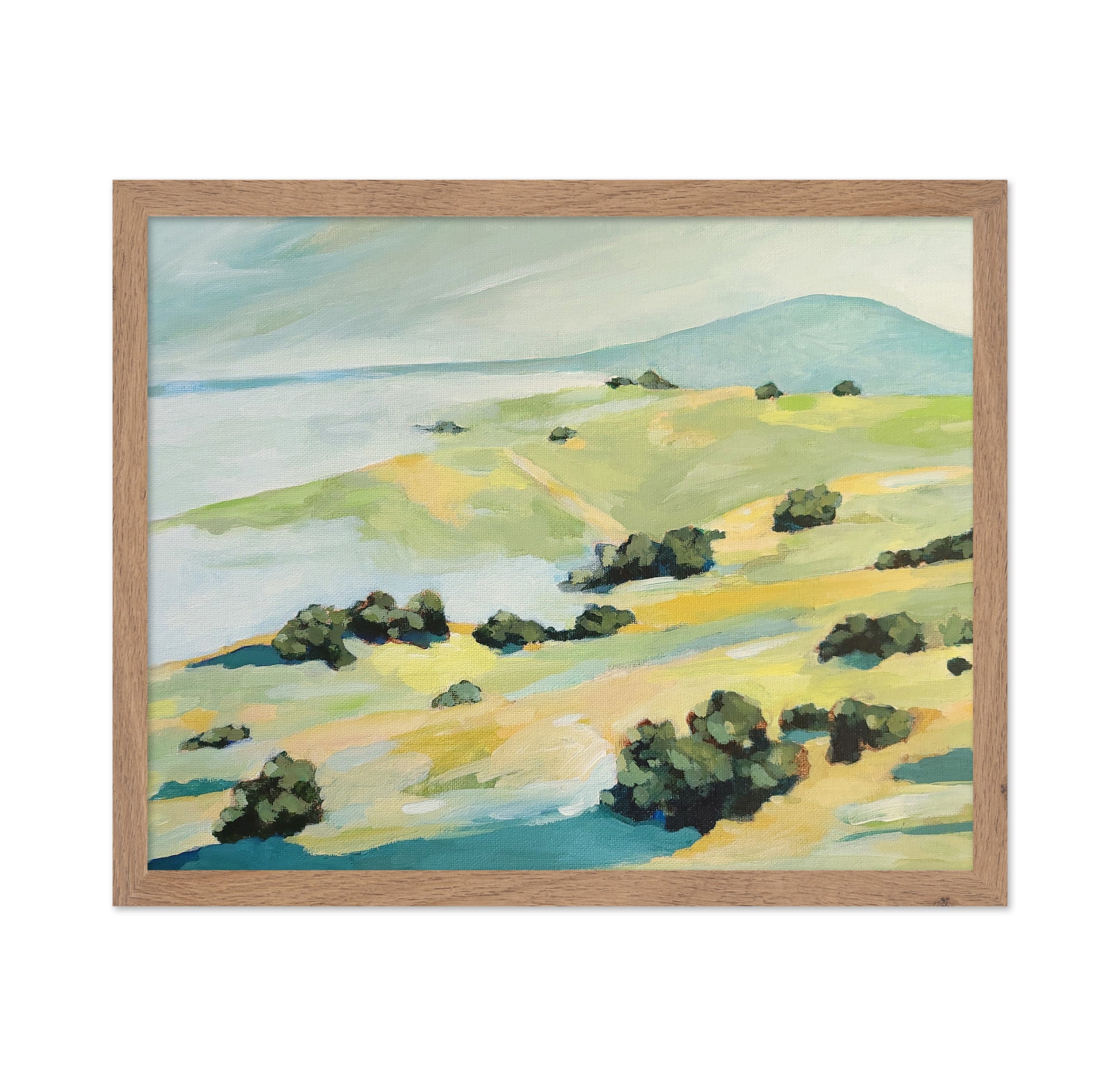 Coastal Rolling Hills