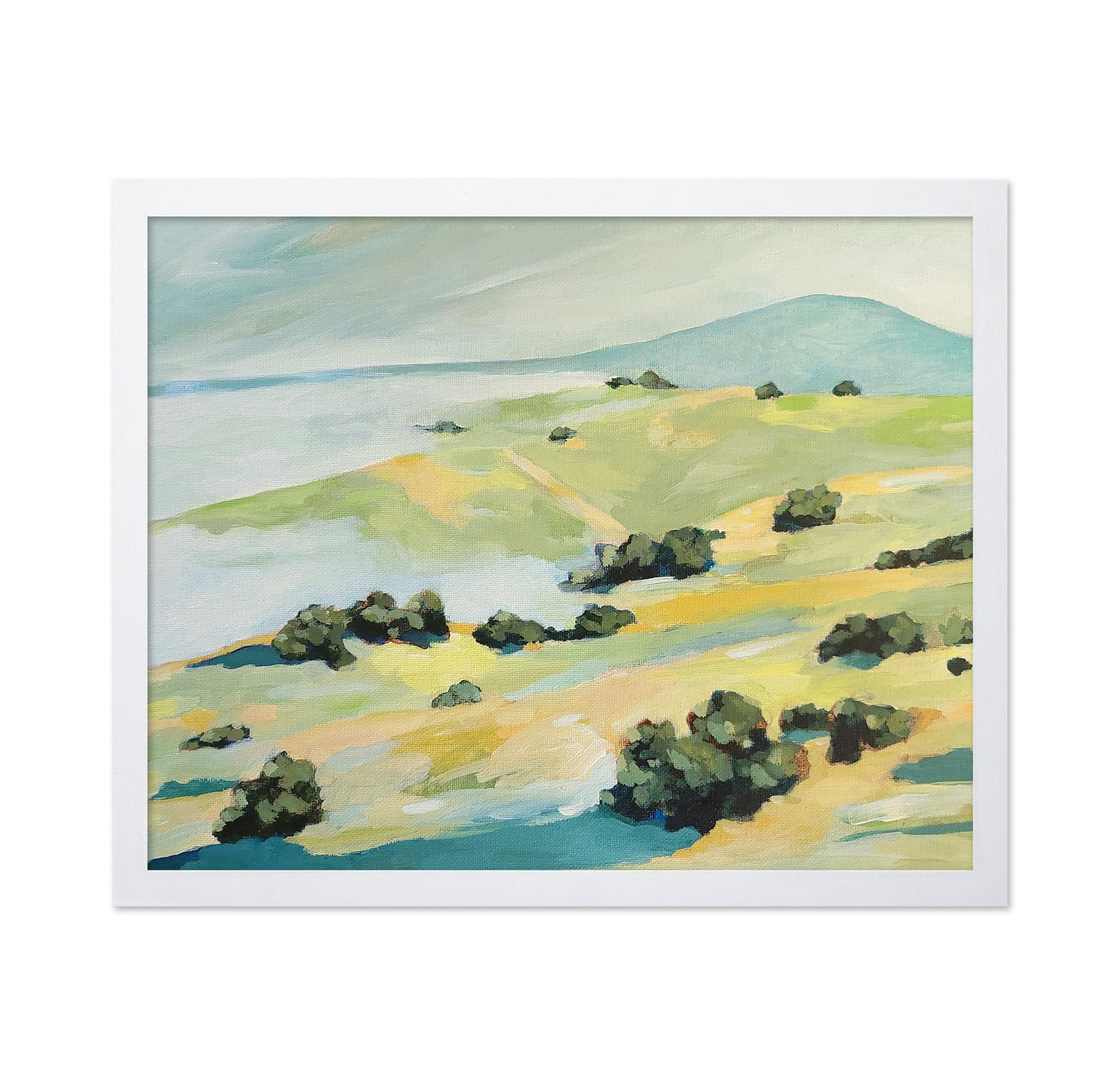 Coastal Rolling Hills