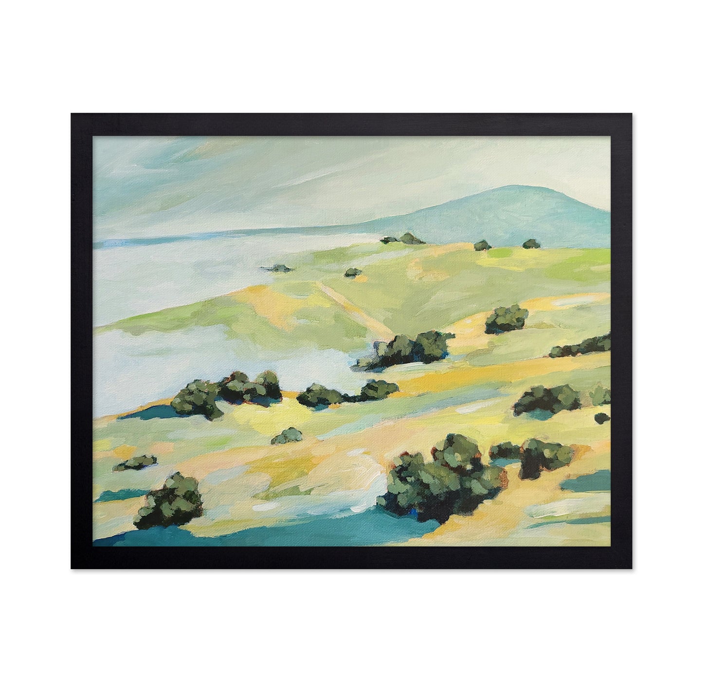 Coastal Rolling Hills