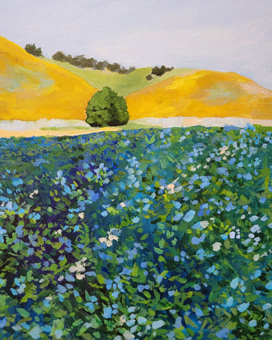 Wildflower Meadow Hills