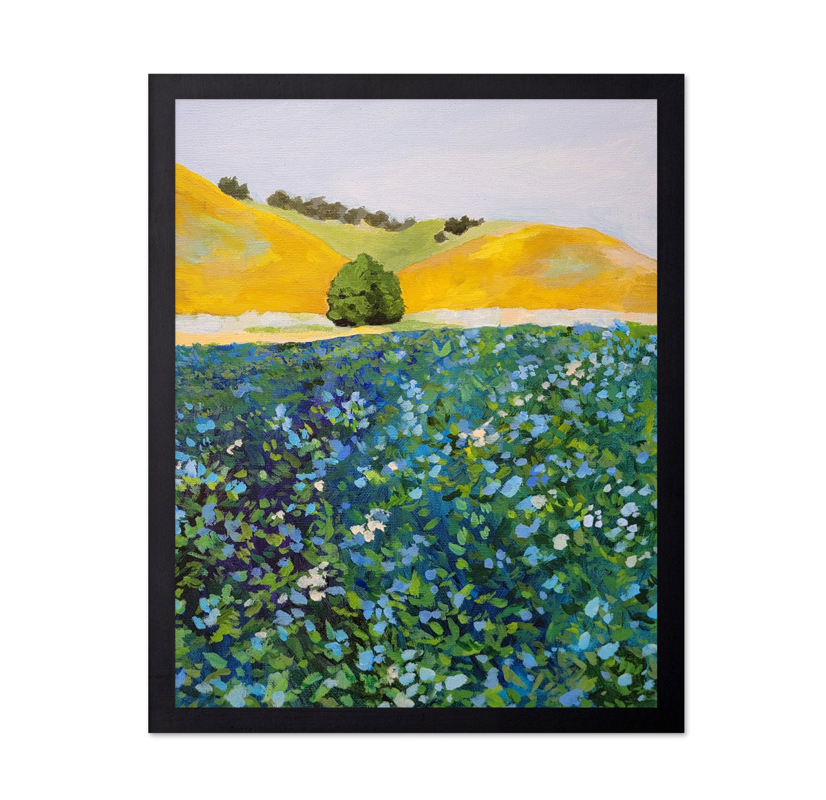 Wildflower Meadow Hills