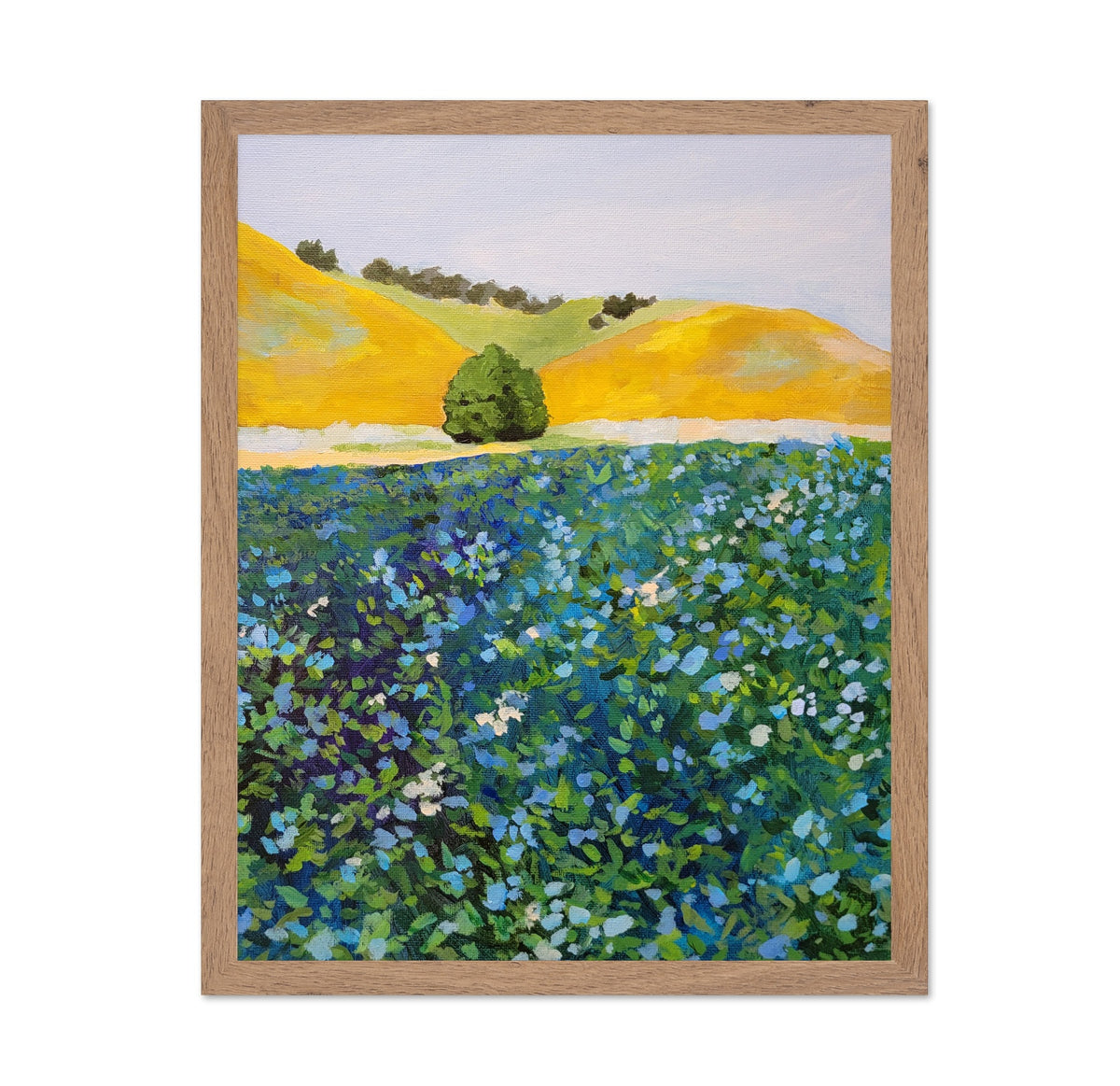 Wildflower Meadow Hills