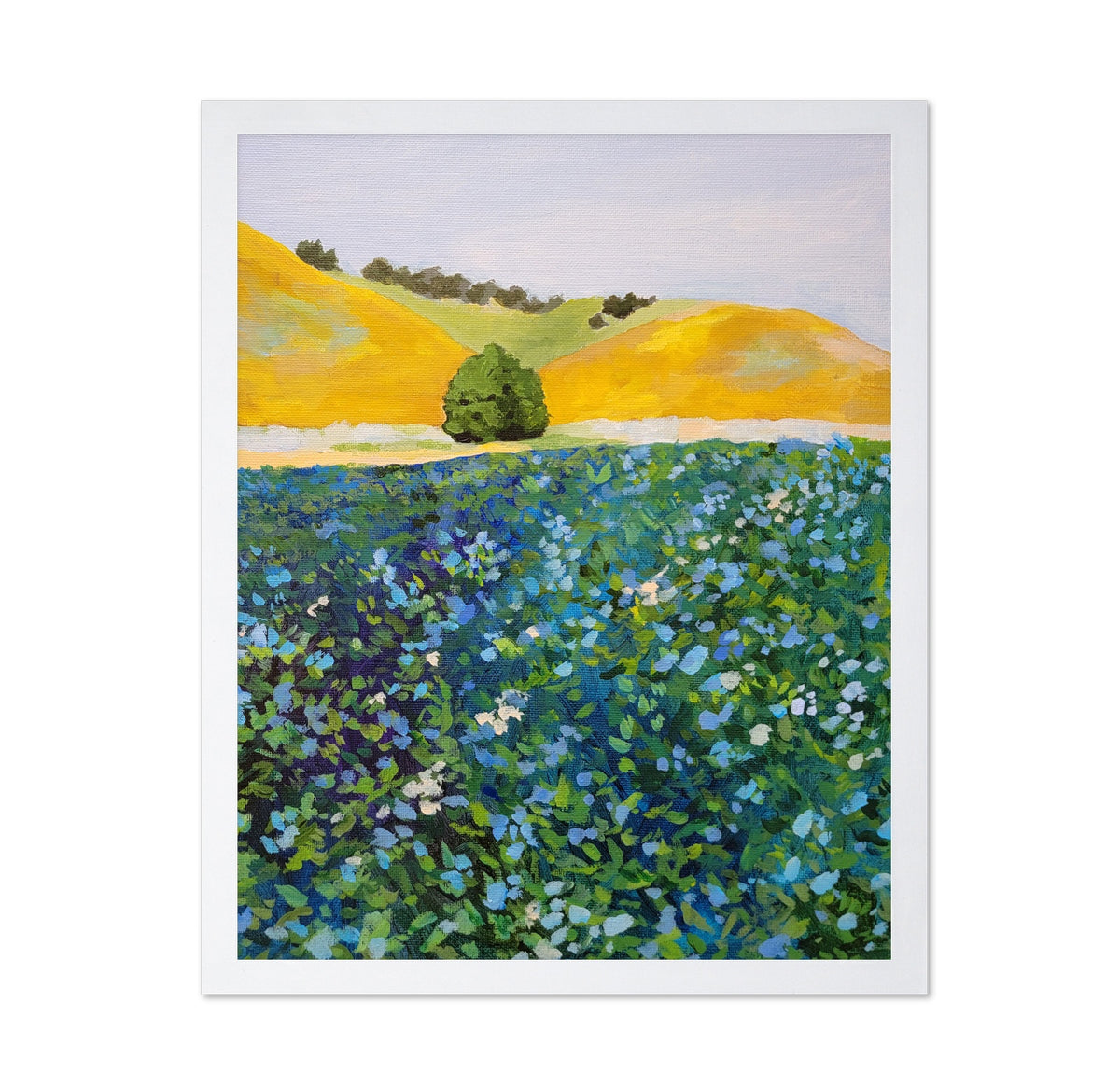 Wildflower Meadow Hills