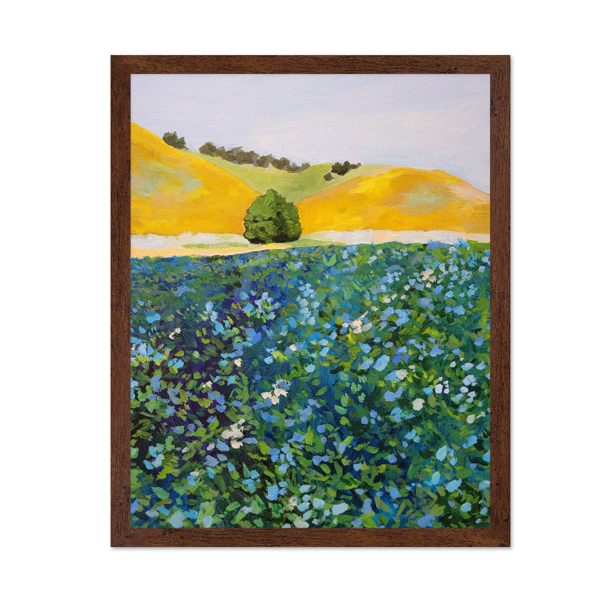 Wildflower Meadow Hills