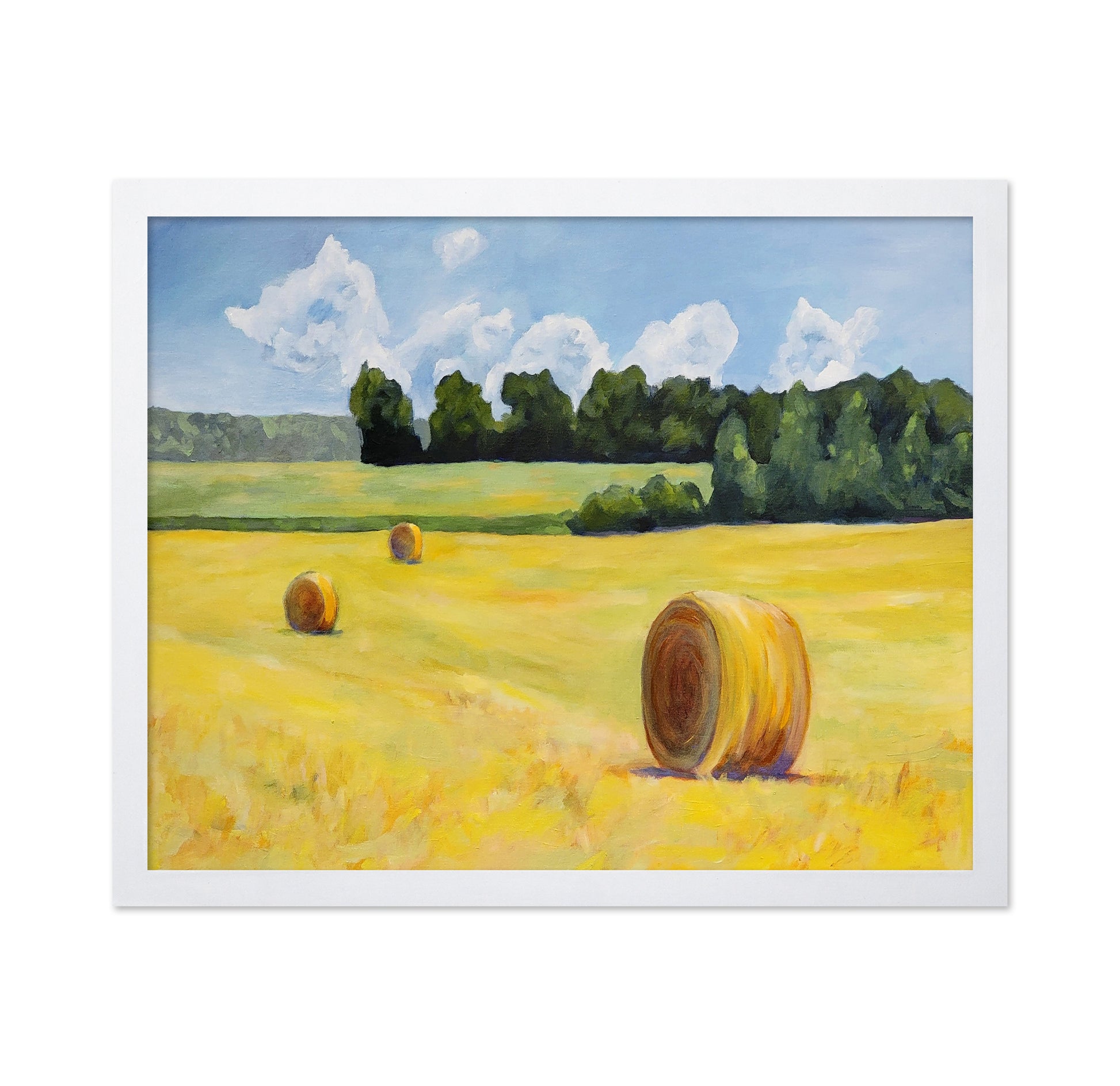Golden Hay Field