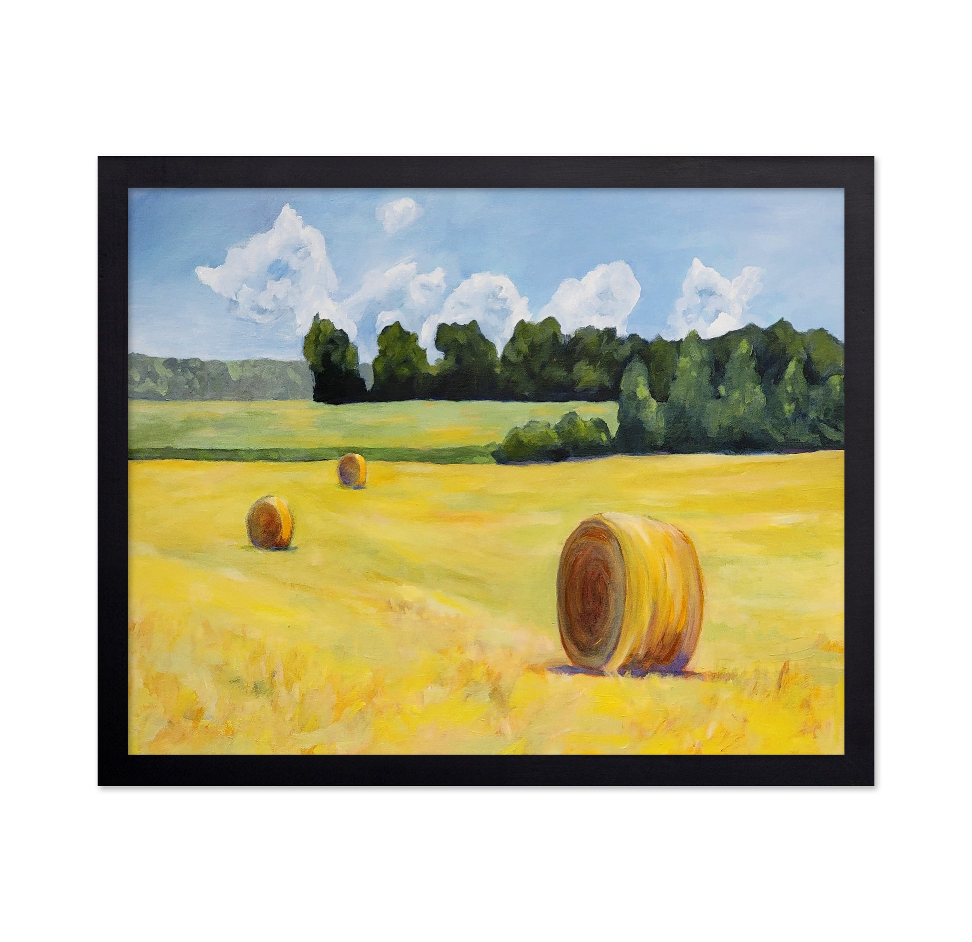 Golden Hay Field