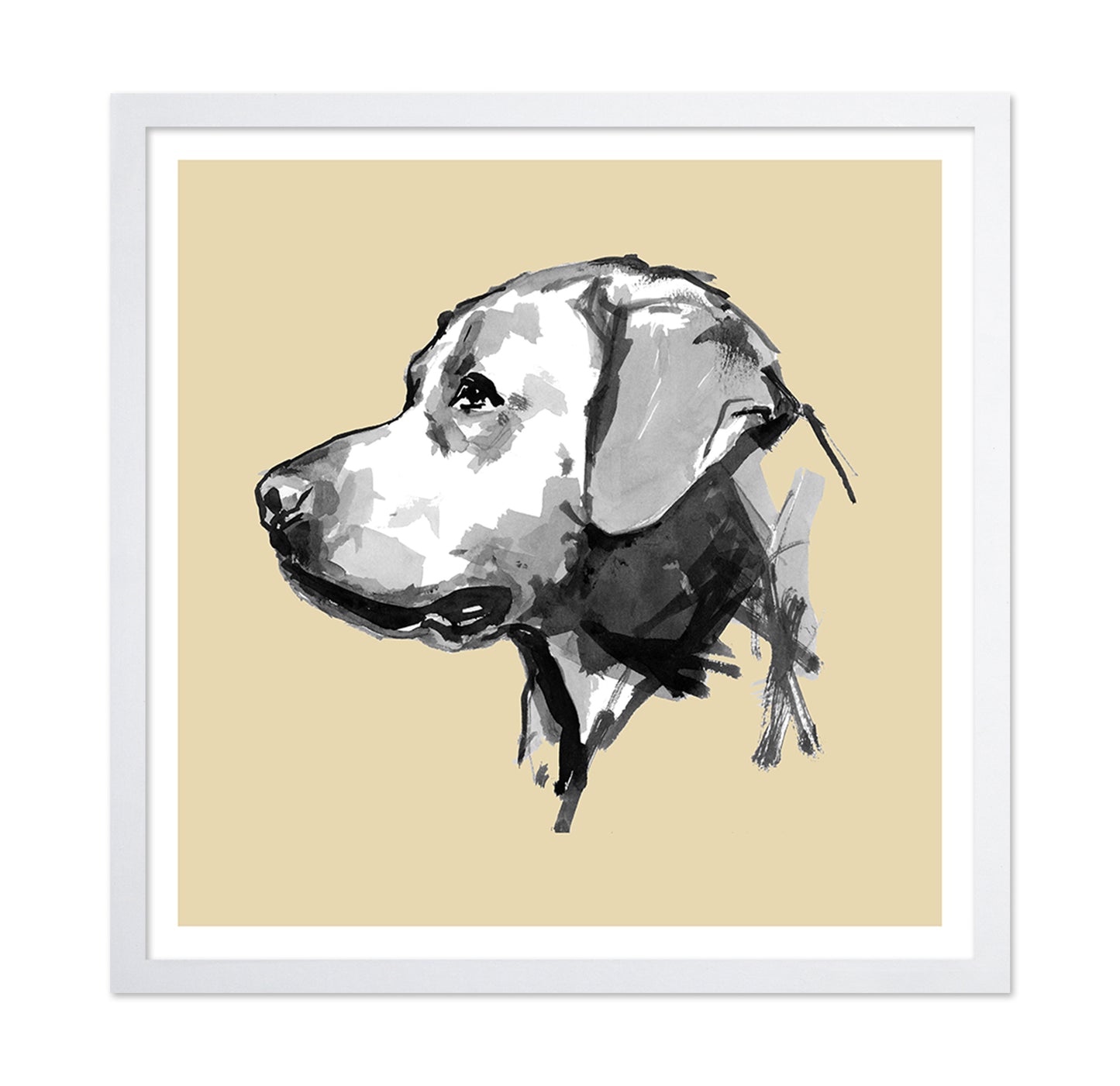 Minimal Dog Portrait