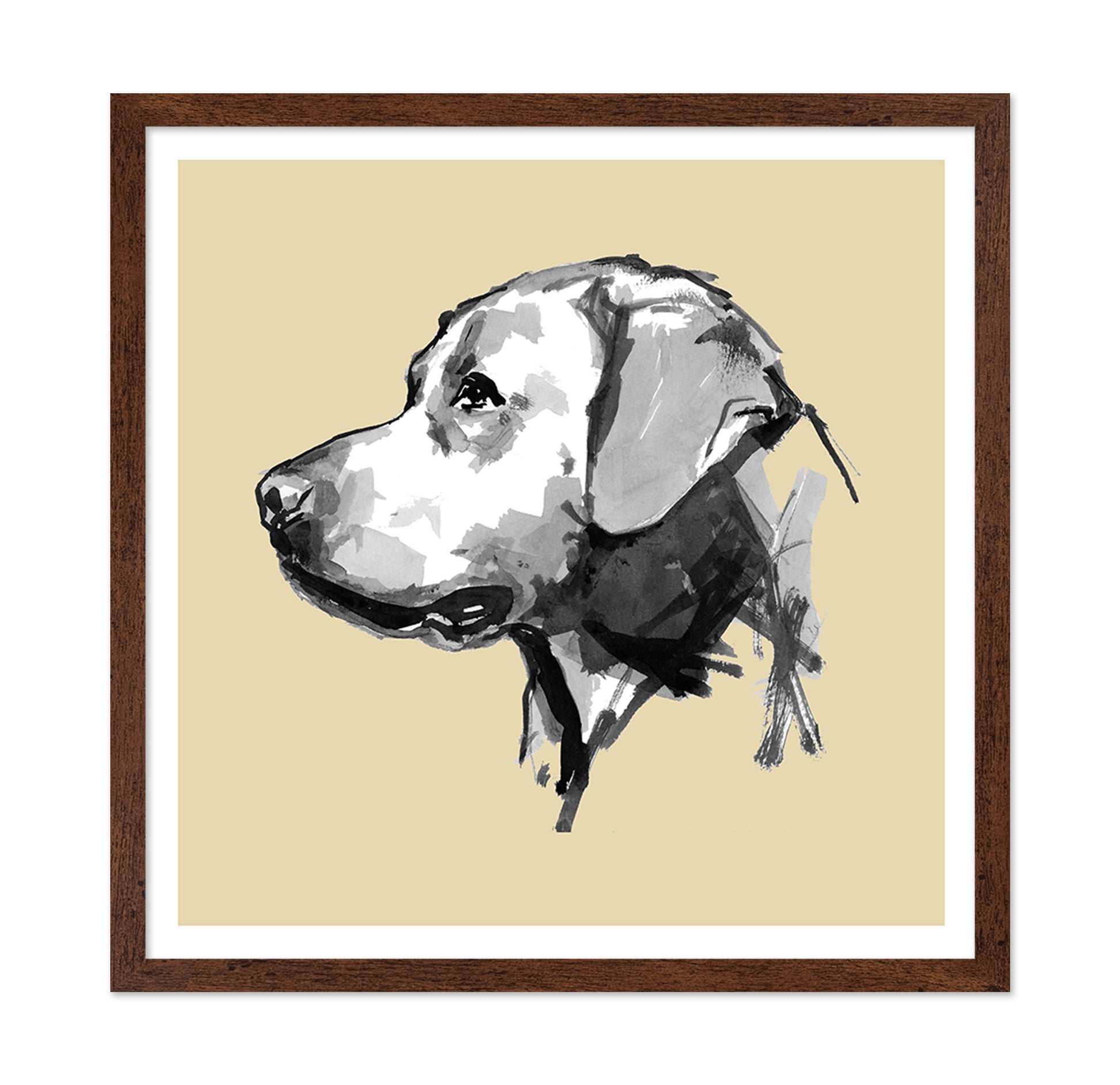 Minimal Dog Portrait