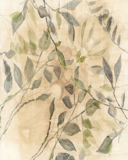 Soft Botanical Leaves