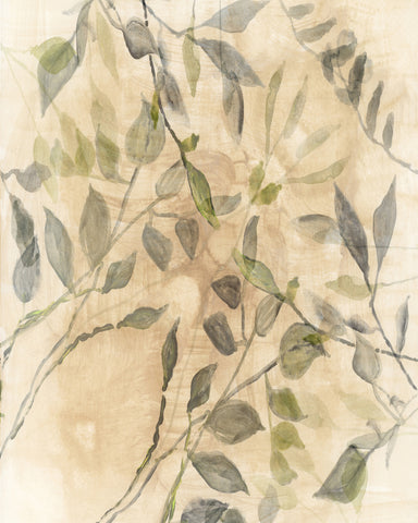Soft Botanical Leaves