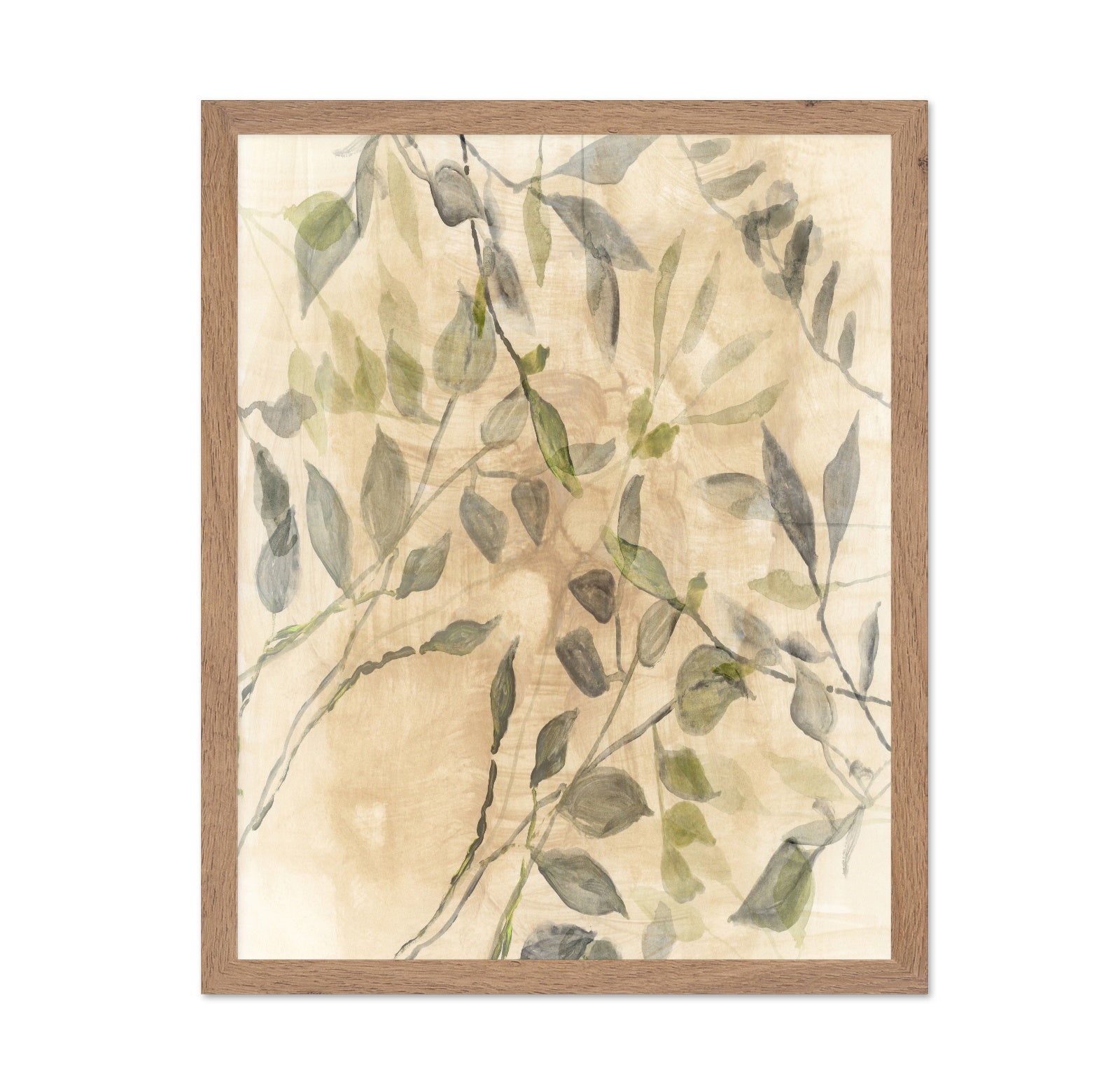 Soft Botanical Leaves