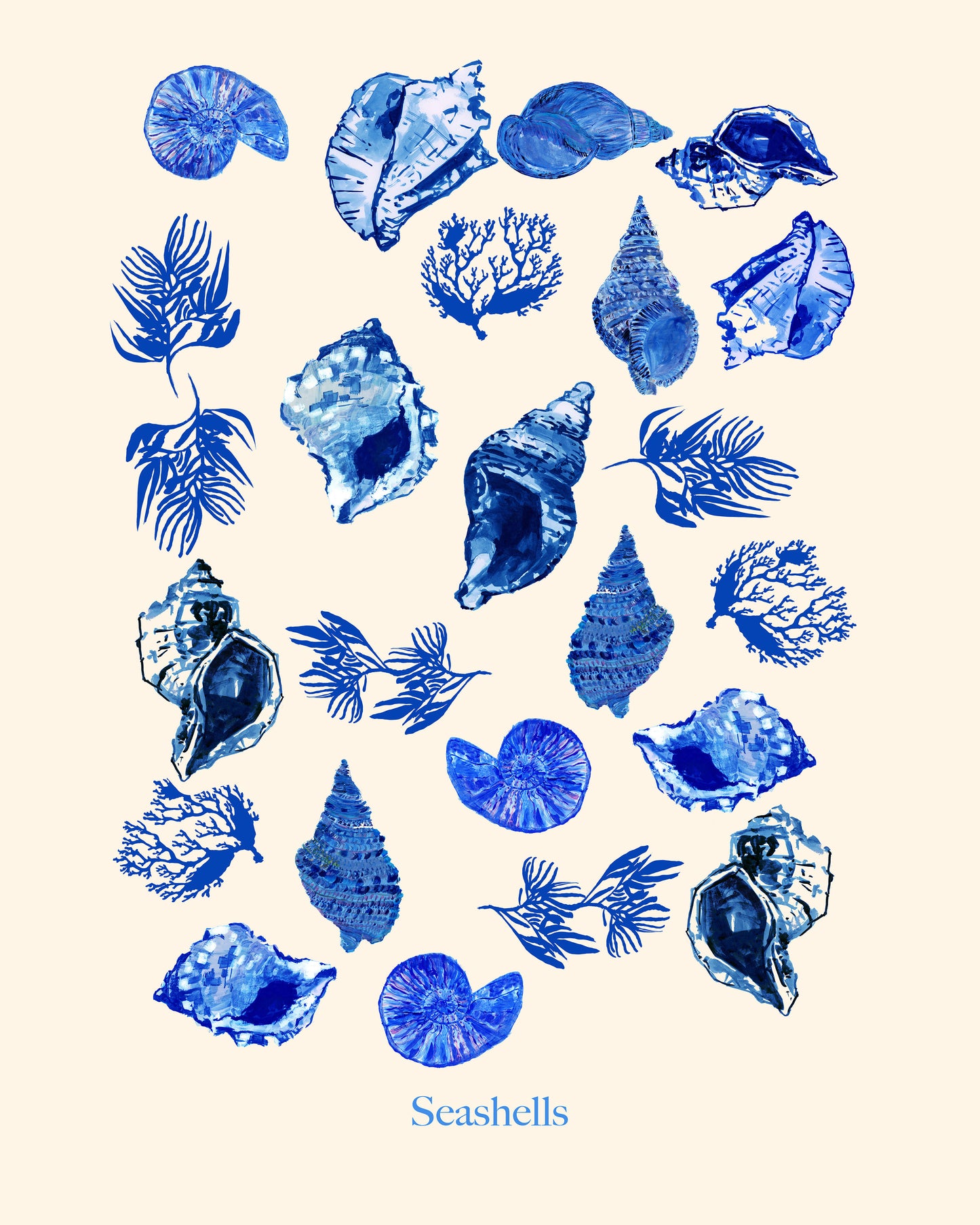 Blue Seashell Collection