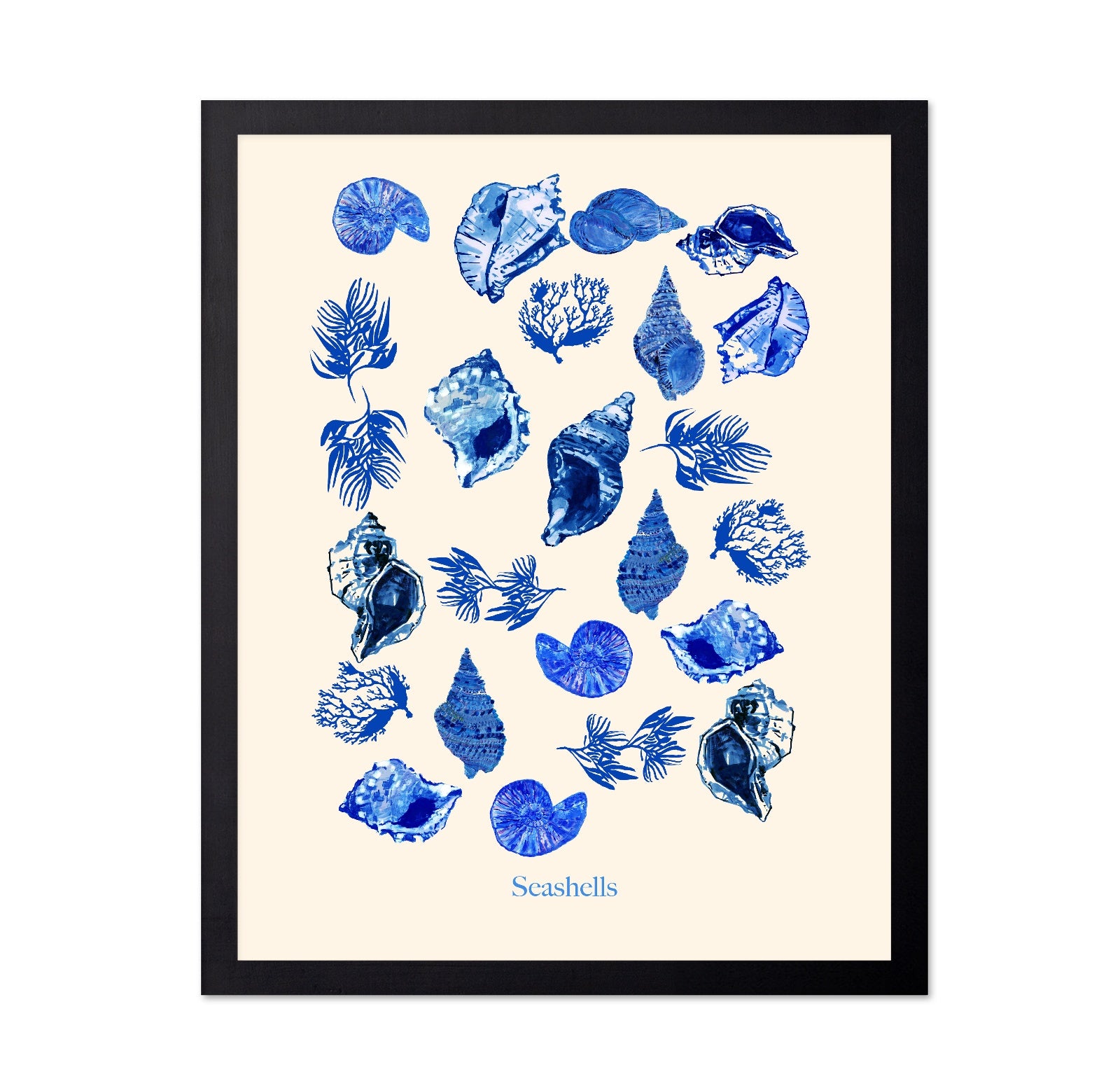 Blue Seashell Collection