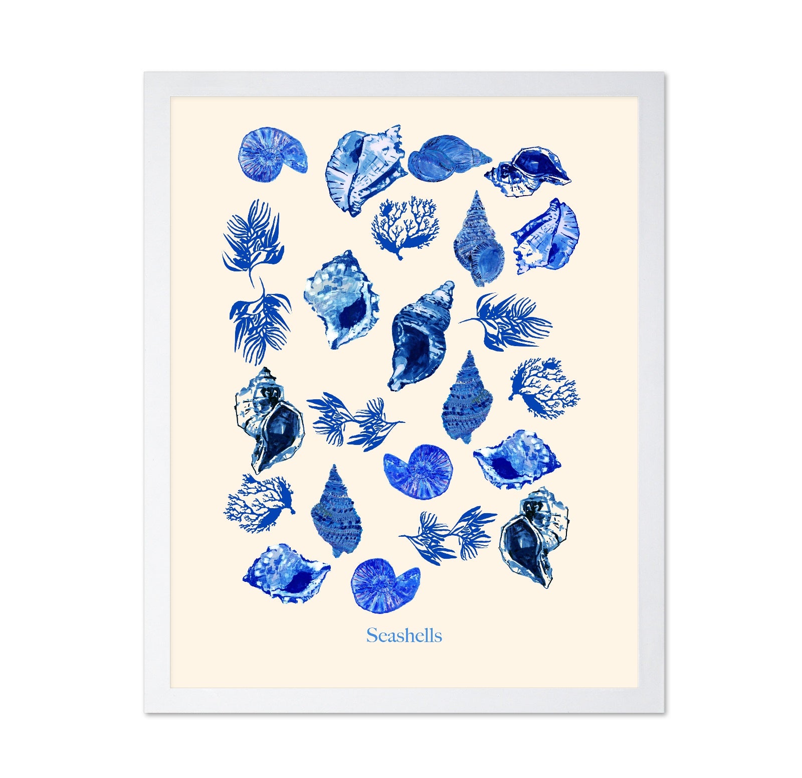 Blue Seashell Collection