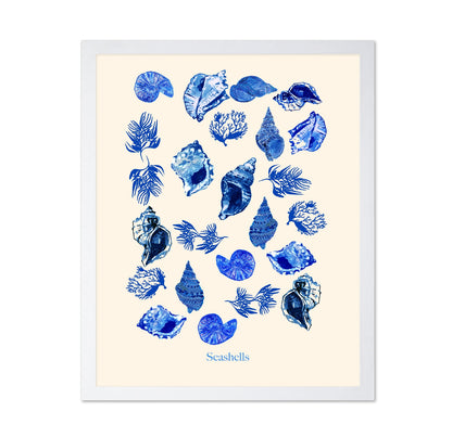 Blue Seashell Collection