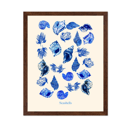 Blue Seashell Collection